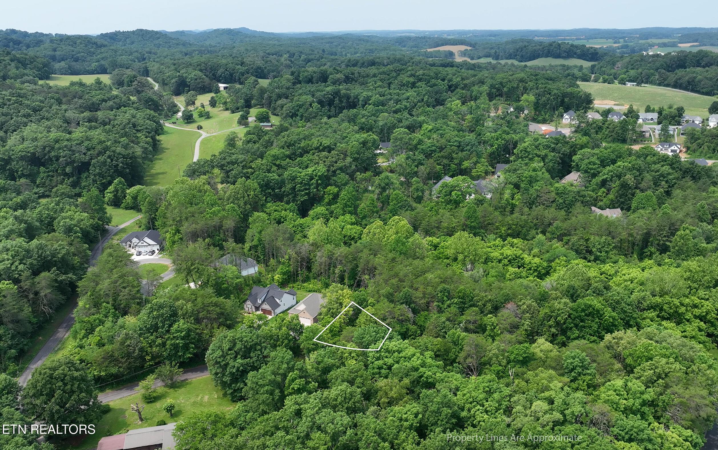 Fort Loudoun and Tellico Lake Real Estate - Image# 11