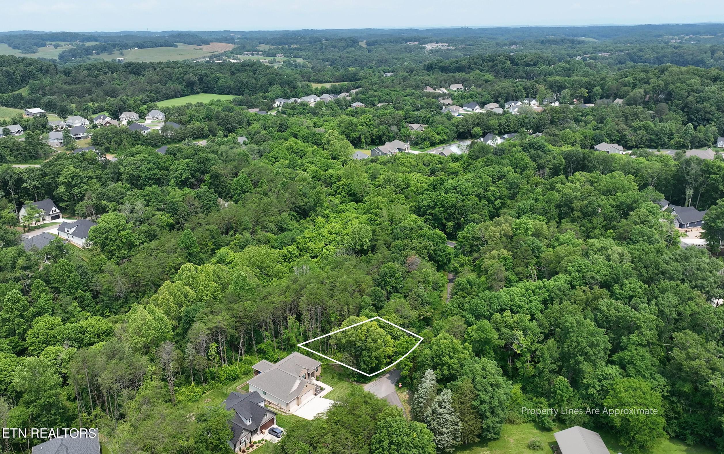 Fort Loudoun and Tellico Lake Real Estate - Image# 12