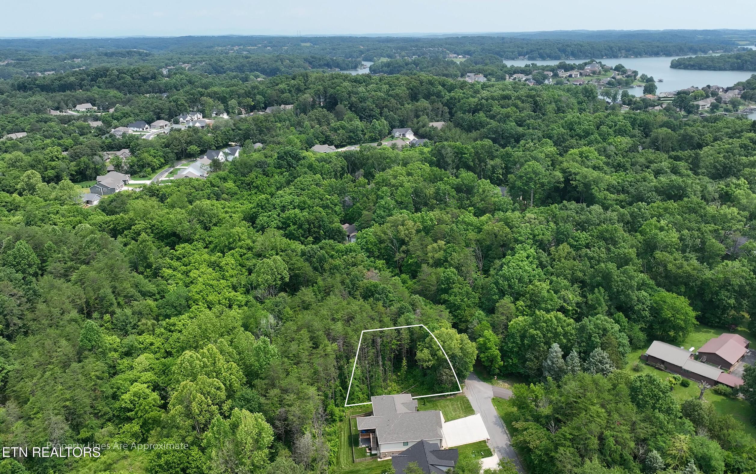 Fort Loudoun and Tellico Lake Real Estate - Image# 9