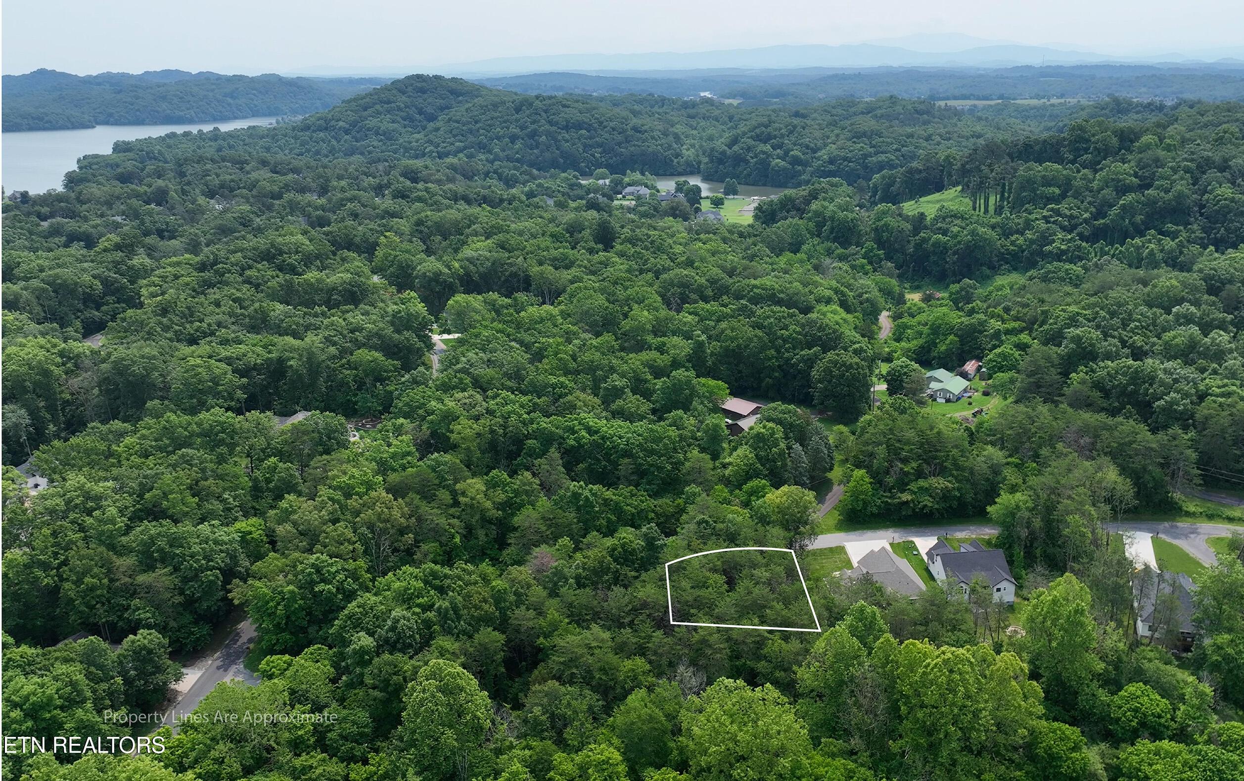 Fort Loudoun and Tellico Lake Real Estate - Image# 13