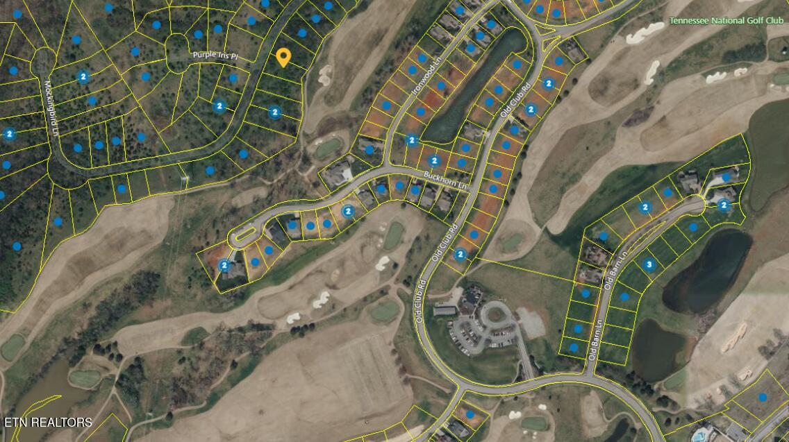 Fort Loudoun and Tellico Lake Real Estate - Image# 39