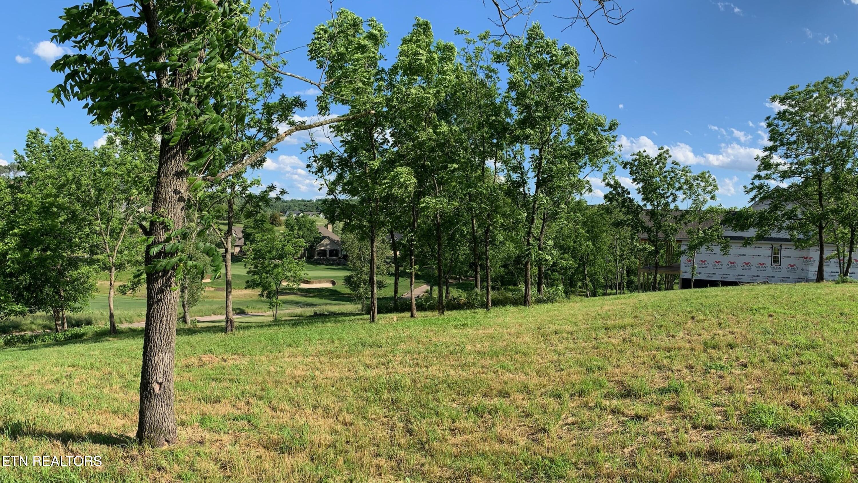 Fort Loudoun and Tellico Lake Real Estate - Image# 14