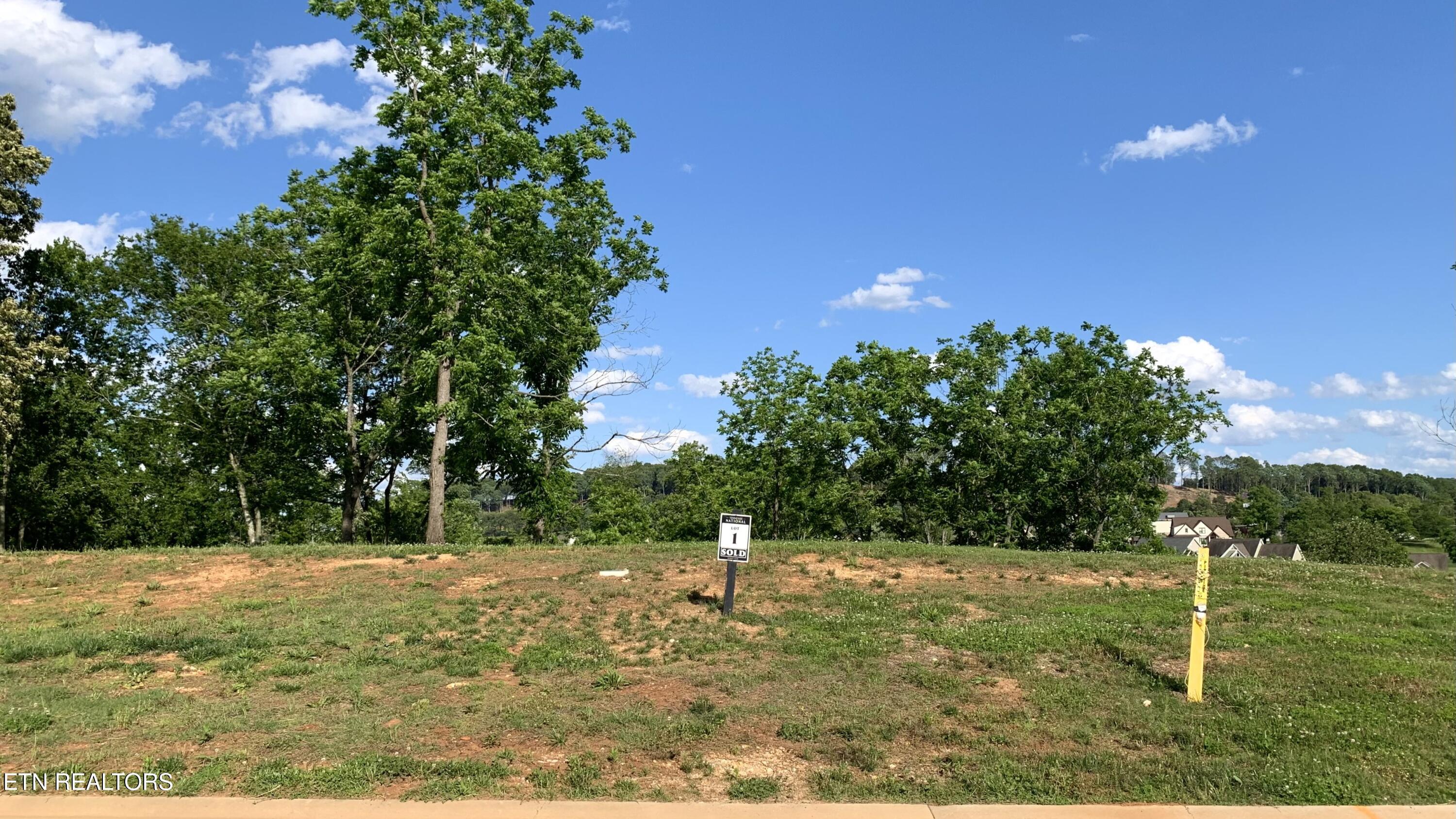 Fort Loudoun and Tellico Lake Real Estate - Image# 11