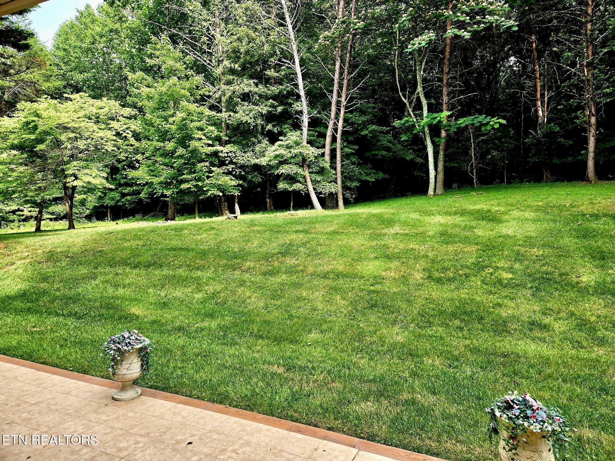 Fort Loudoun and Tellico Lake Real Estate - Image# 36