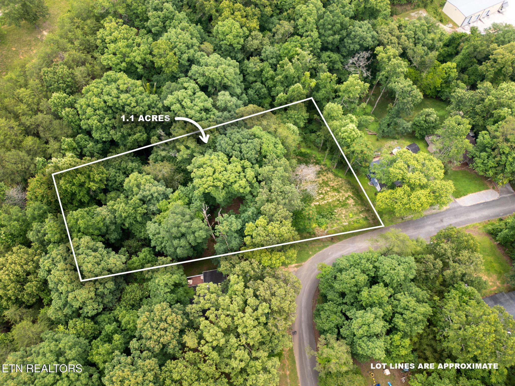 Fort Loudoun and Tellico Lake Real Estate - Image# 2