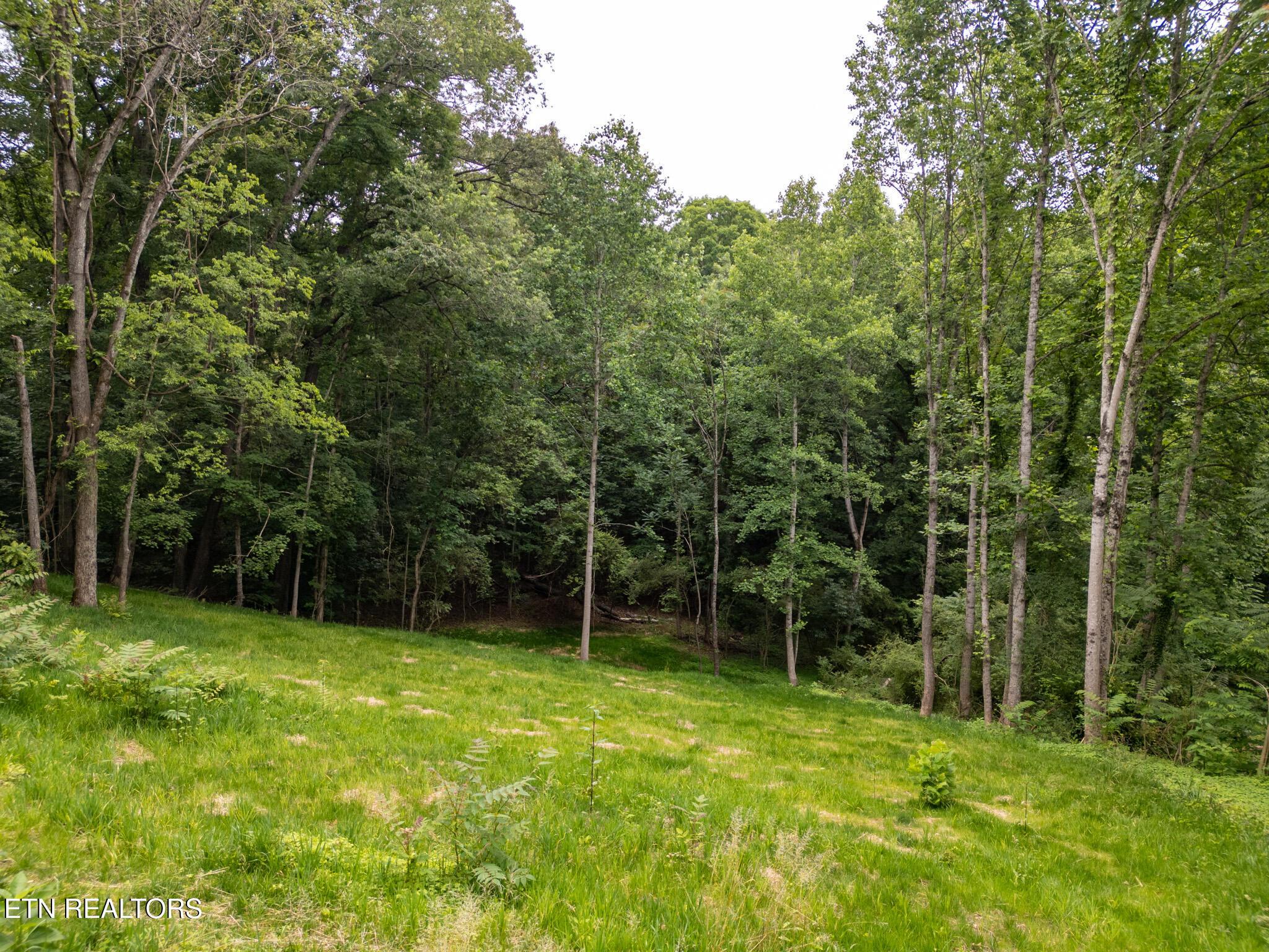 Fort Loudoun and Tellico Lake Real Estate - Image# 3