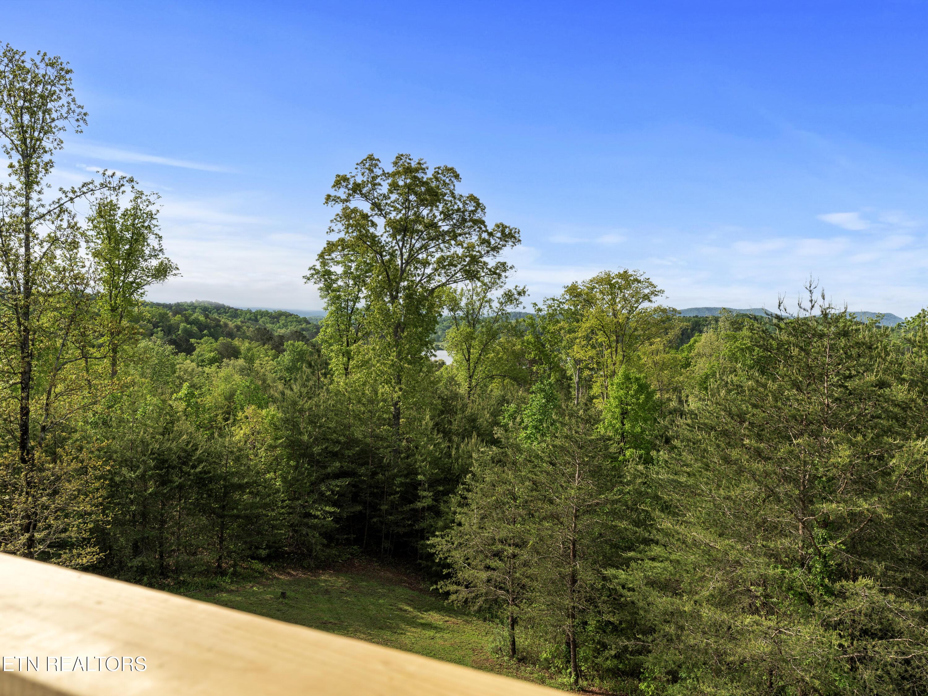 Fort Loudoun and Tellico Lake Real Estate - Image# 34