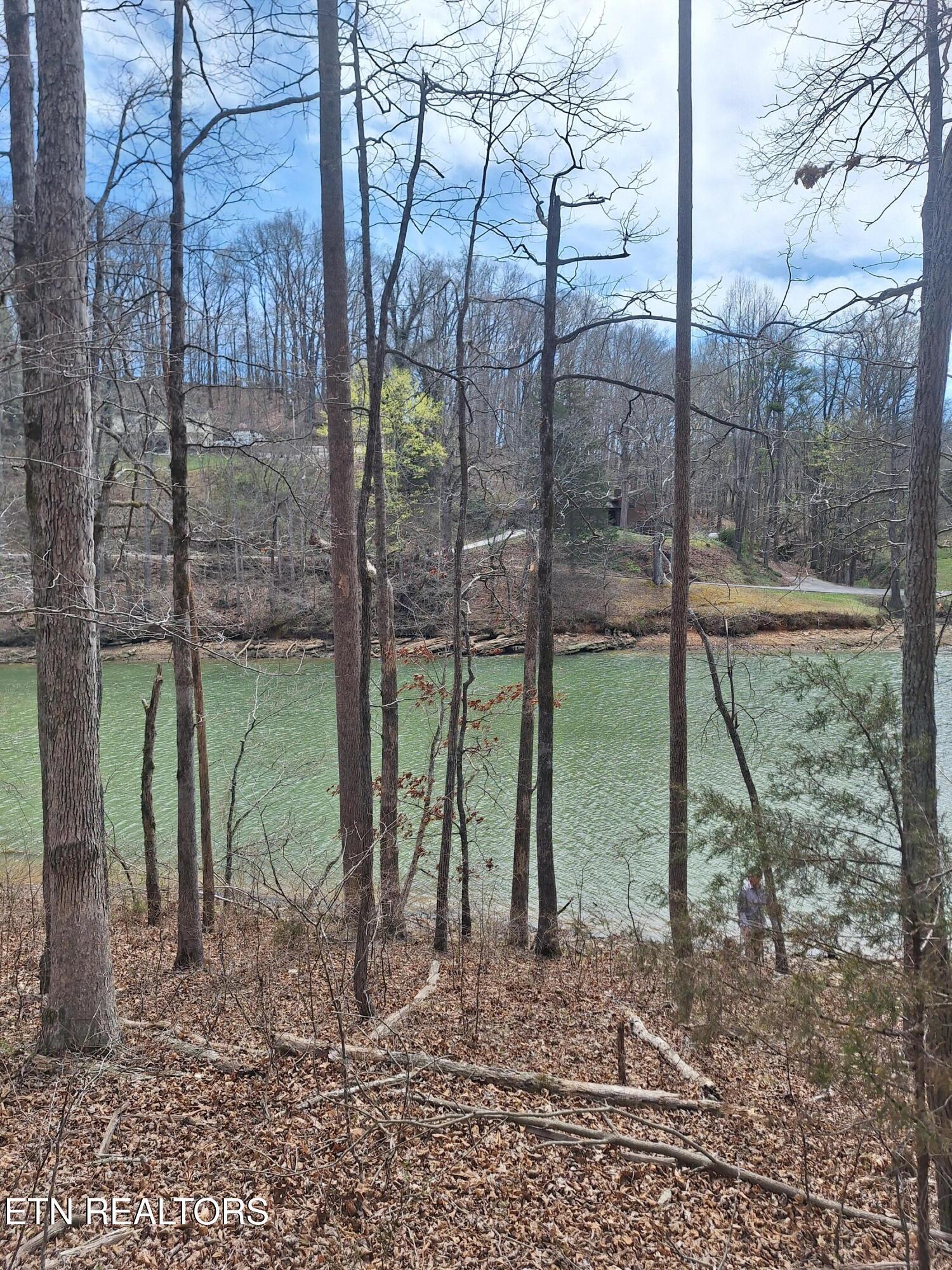 Fort Loudoun and Tellico Lake Real Estate - Image# 1
