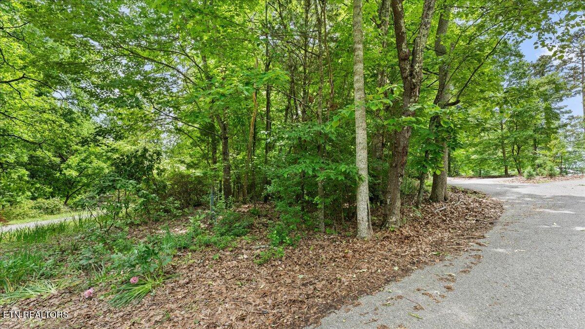 Fort Loudoun and Tellico Lake Real Estate - Image# 10
