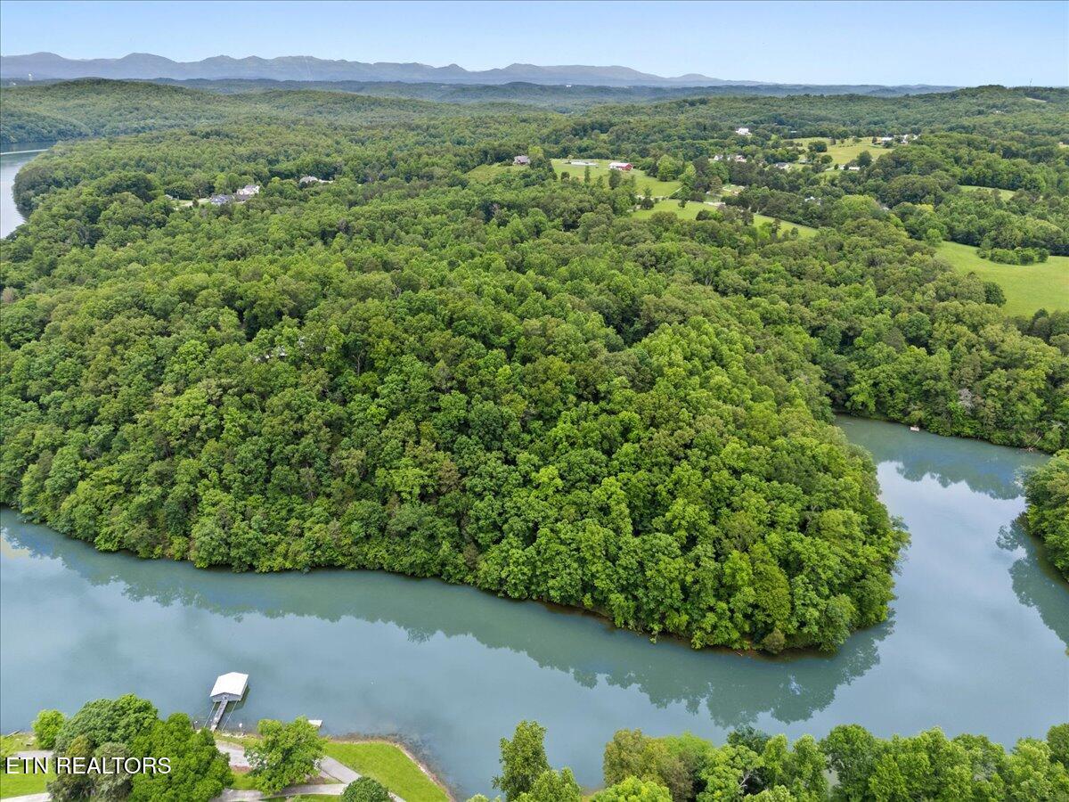 Fort Loudoun and Tellico Lake Real Estate - Image# 13