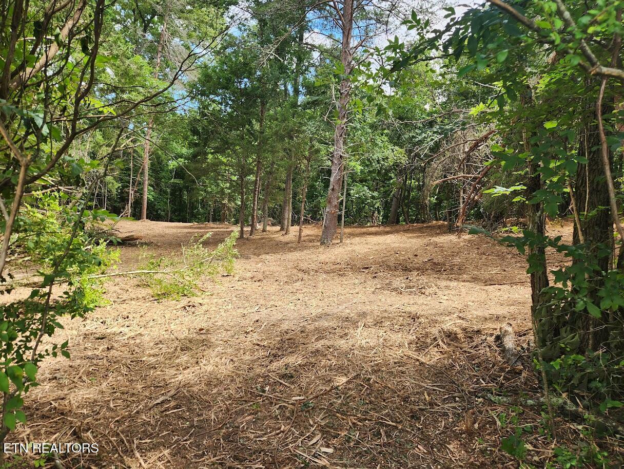 Fort Loudoun and Tellico Lake Real Estate - Image# 11
