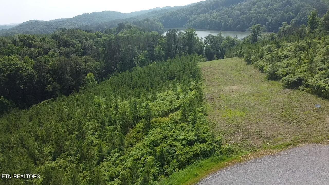 Fort Loudoun and Tellico Lake Real Estate - Image# 7