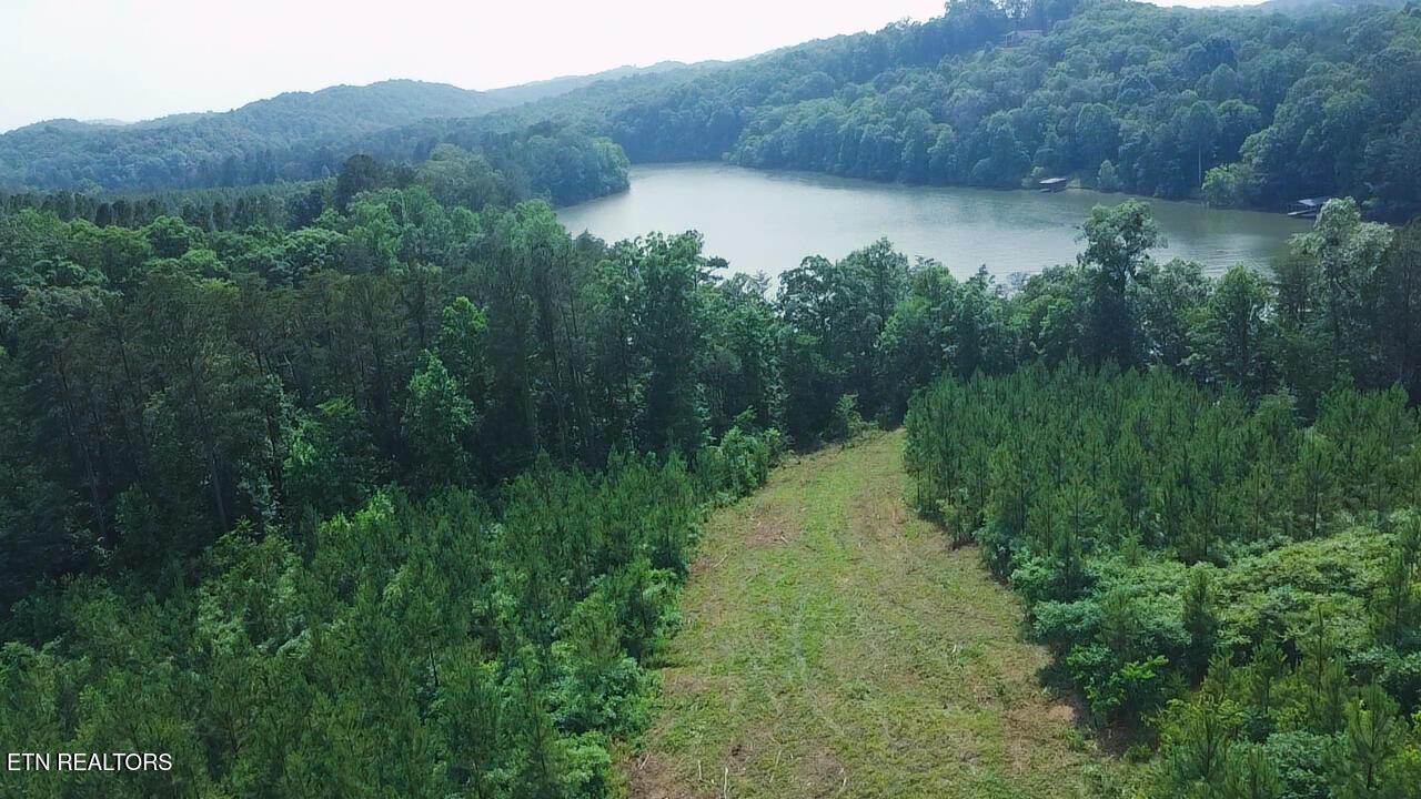 Fort Loudoun and Tellico Lake Real Estate - Image# 1