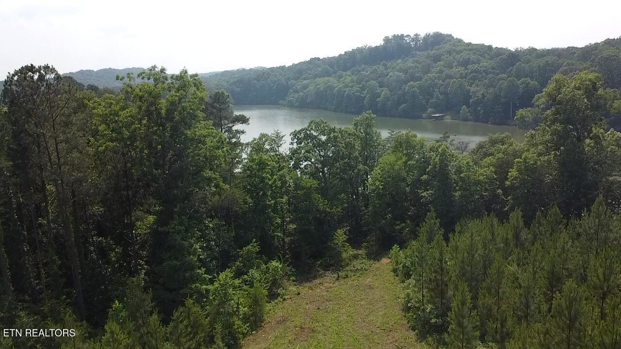 Fort Loudoun and Tellico Lake Real Estate - Image# 6