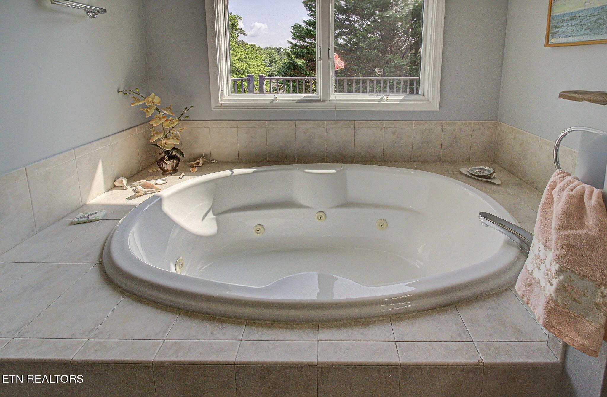 Fort Loudoun and Tellico Lake Real Estate - Image# 22