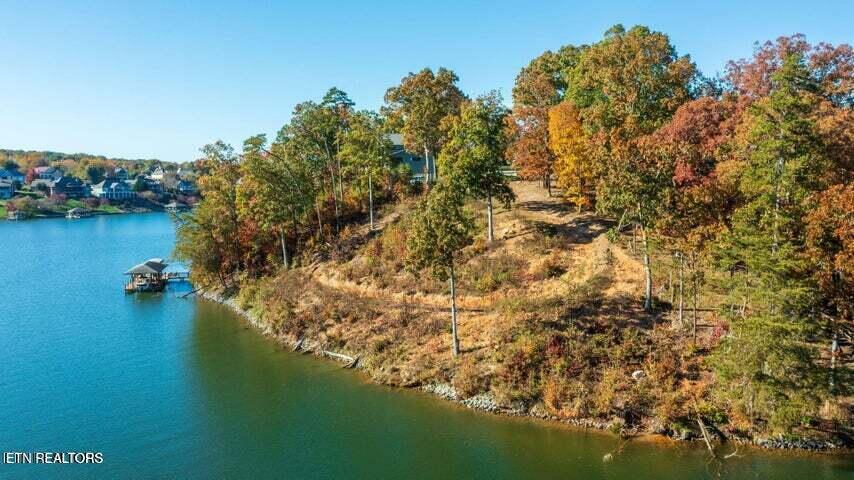Fort Loudoun and Tellico Lake Real Estate - Image# 20