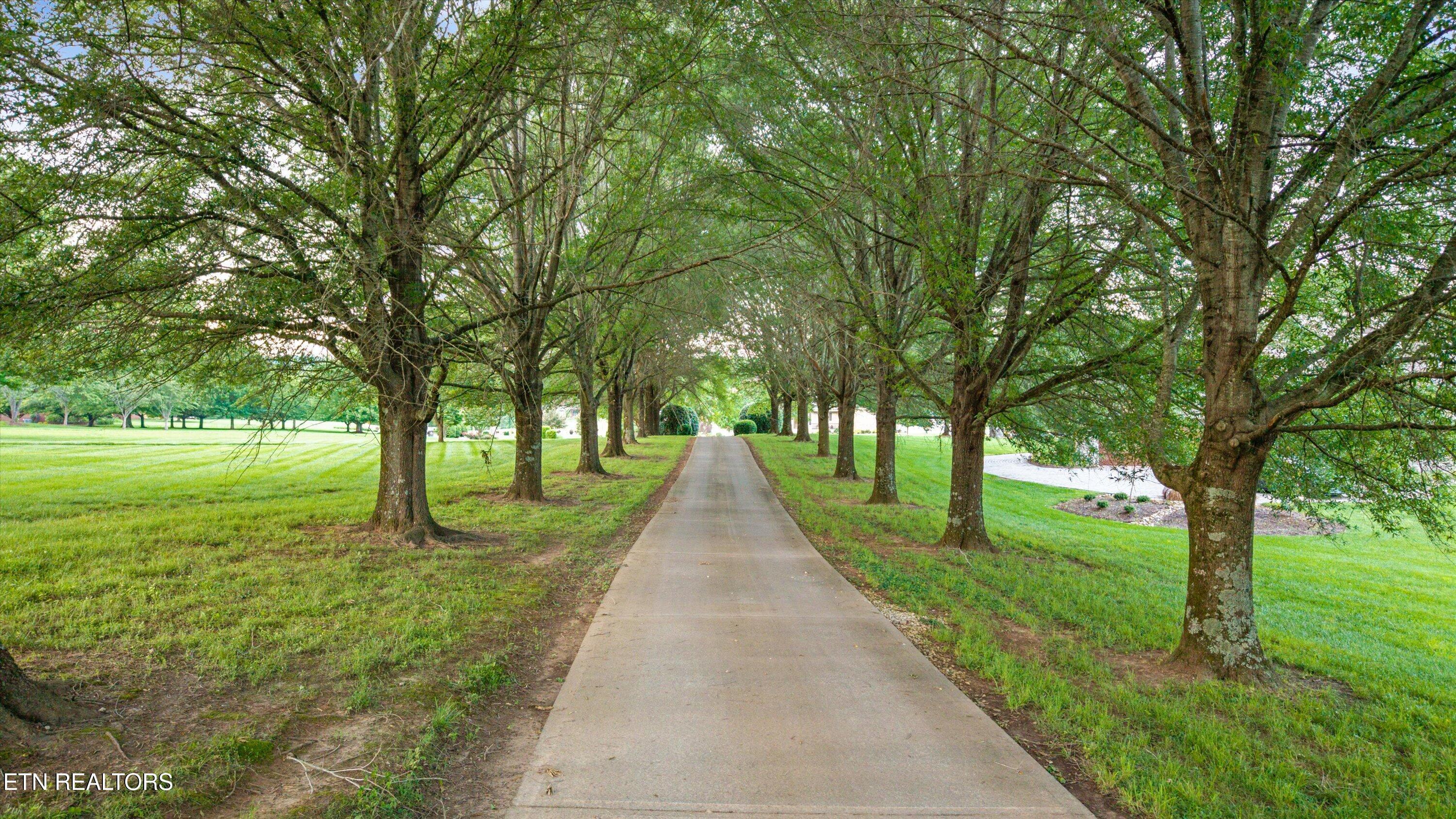 Fort Loudoun and Tellico Lake Real Estate - Image# 60