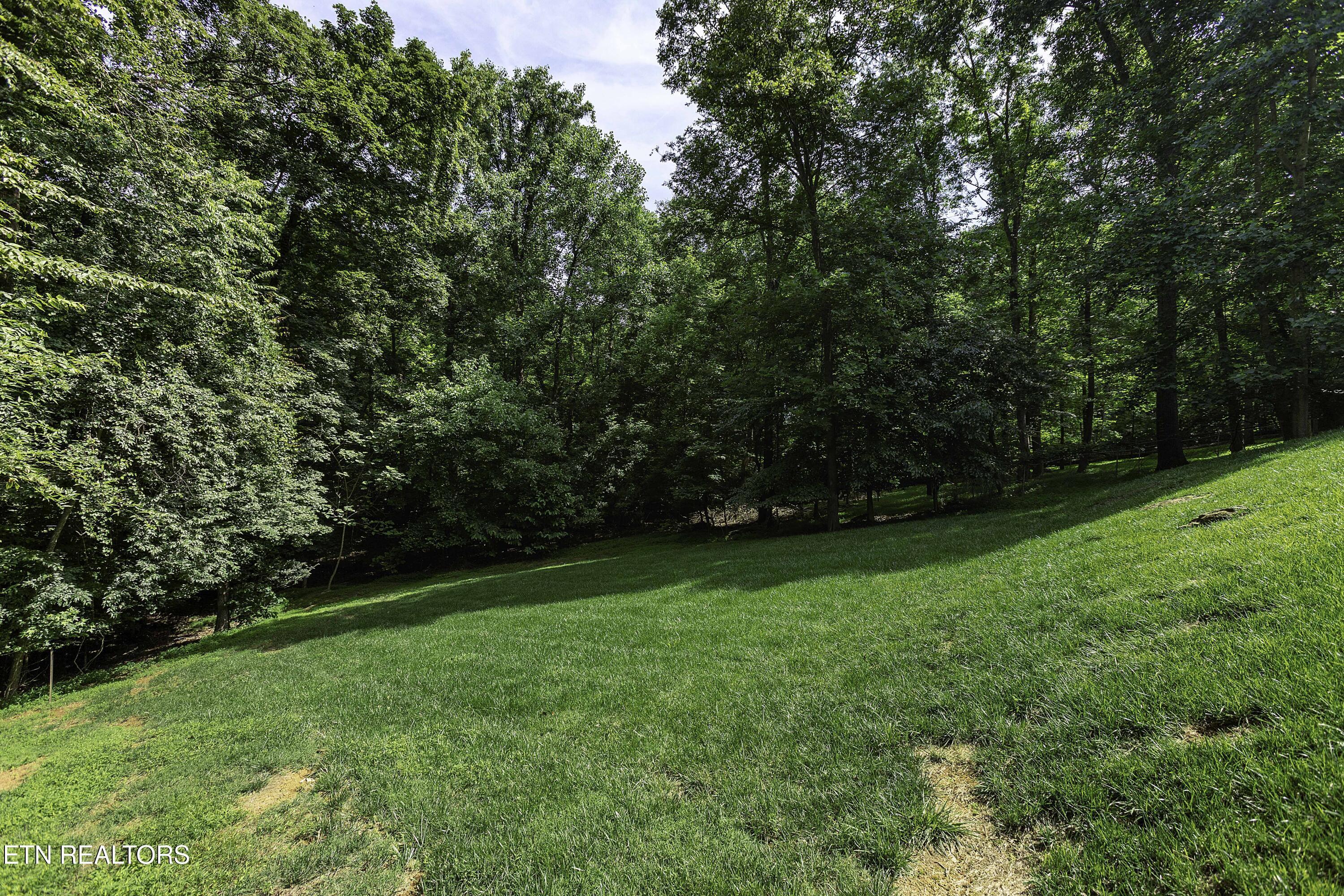Fort Loudoun and Tellico Lake Real Estate - Image# 10