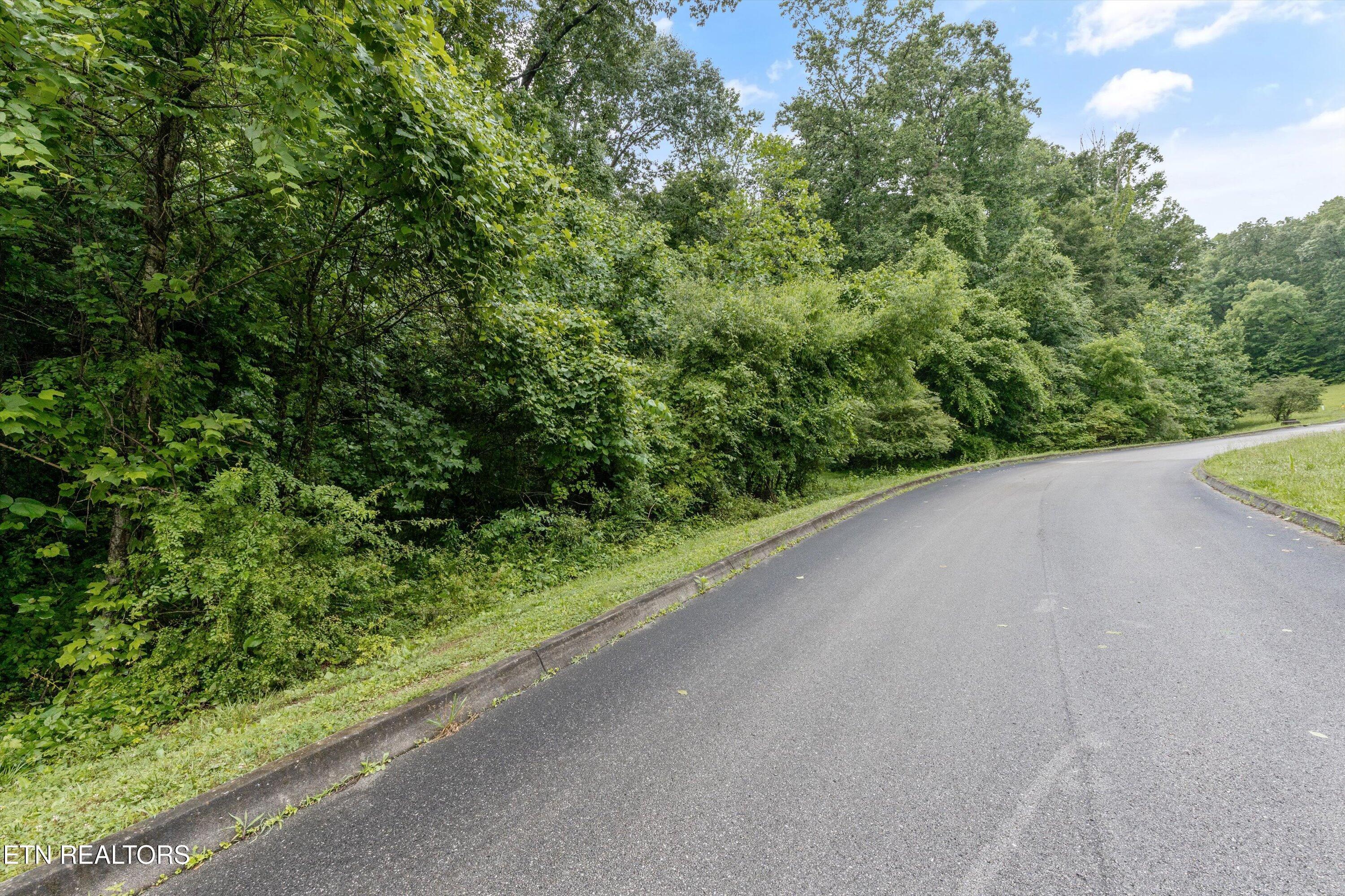Fort Loudoun and Tellico Lake Real Estate - Image# 5