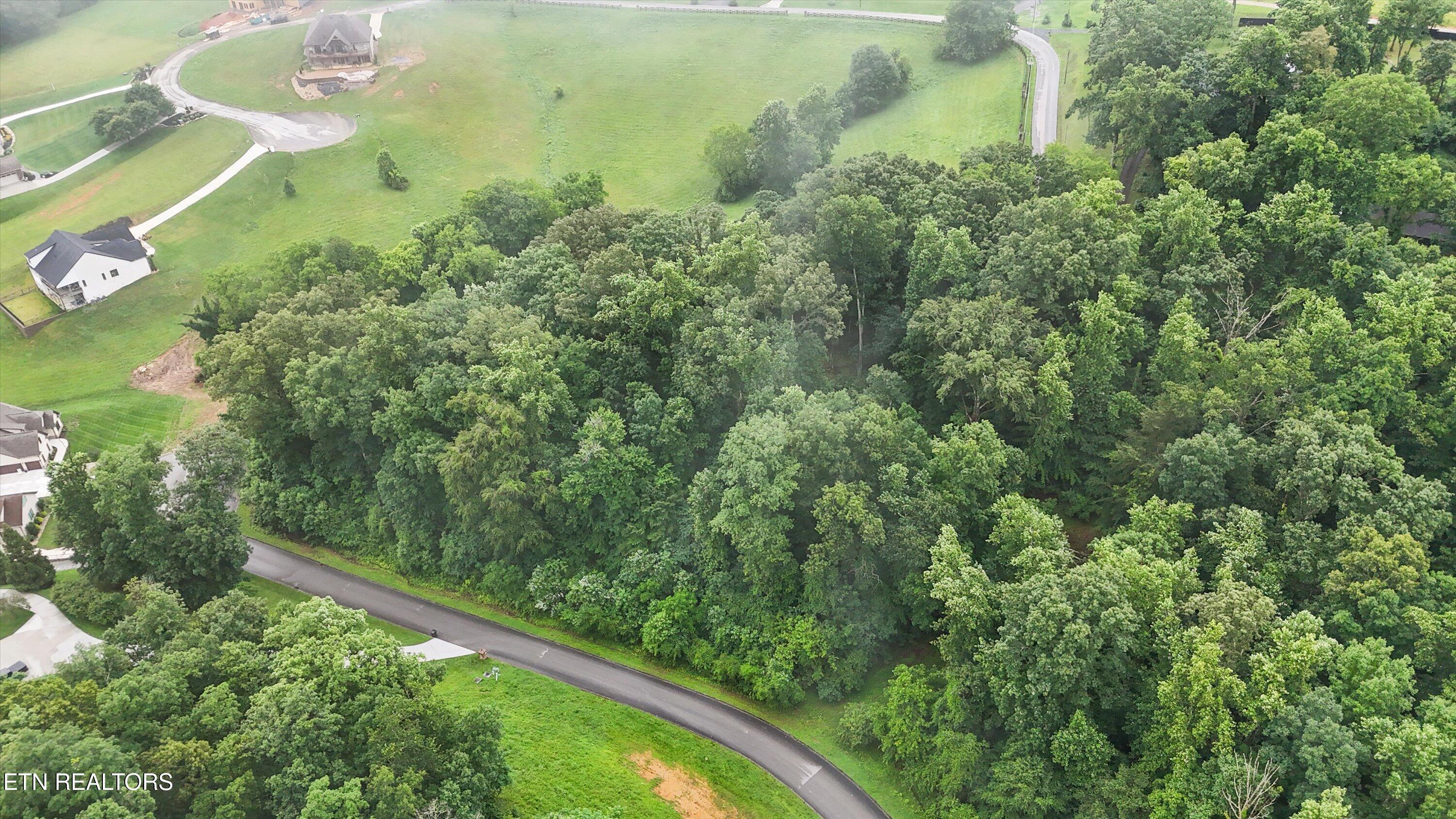 Fort Loudoun and Tellico Lake Real Estate - Image# 9