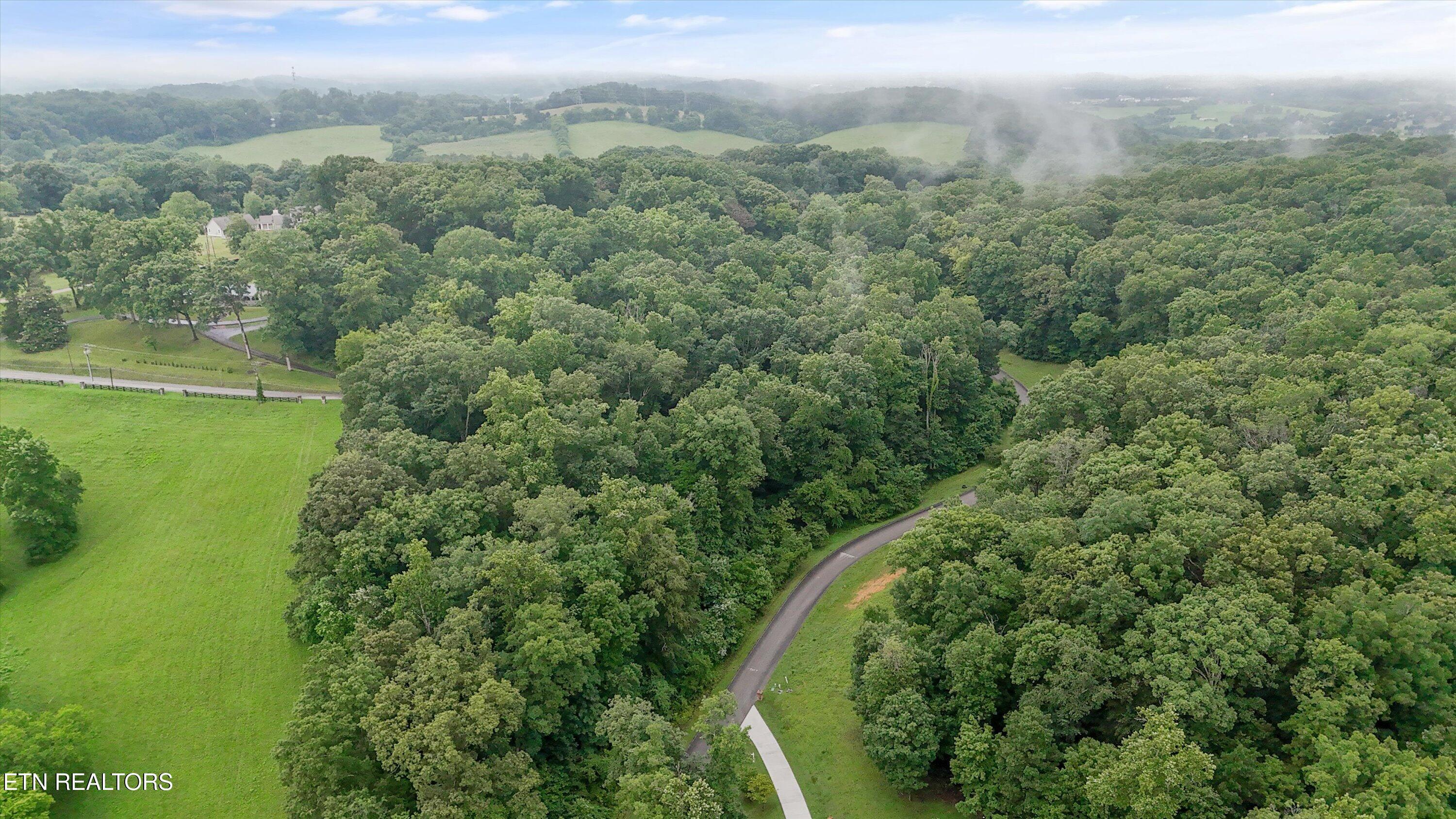 Fort Loudoun and Tellico Lake Real Estate - Image# 10
