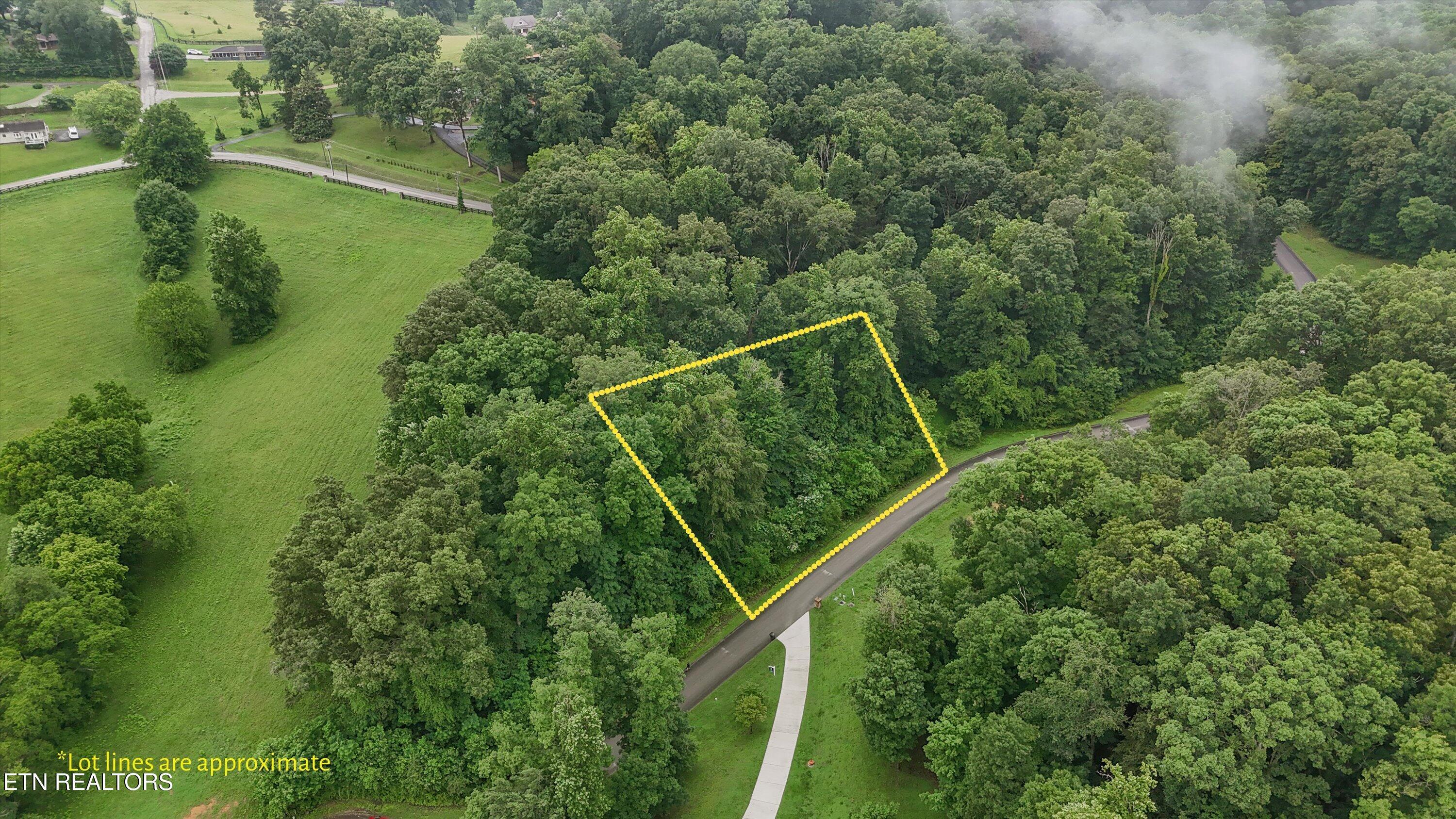 Fort Loudoun and Tellico Lake Real Estate - Image# 1