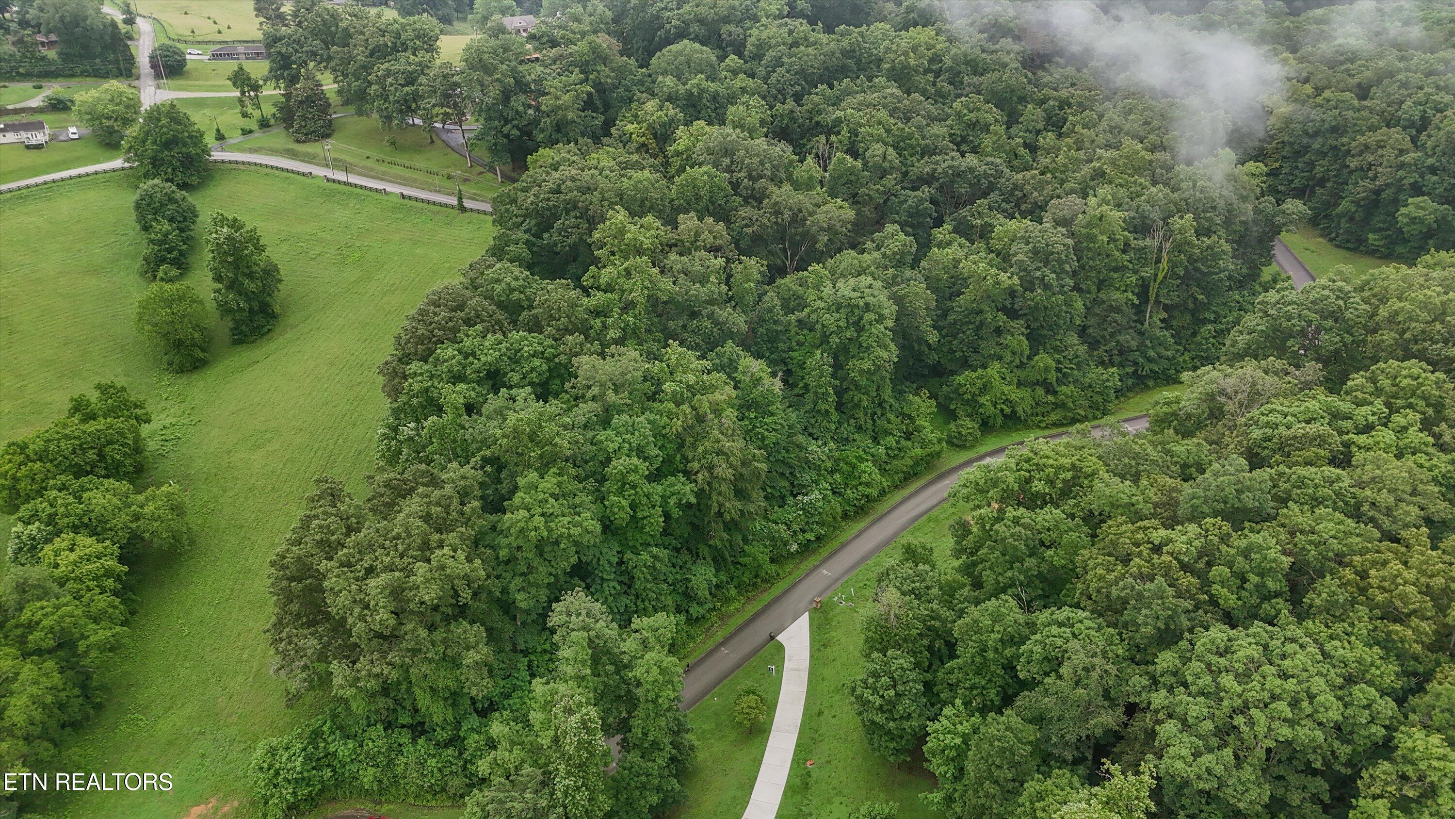 Fort Loudoun and Tellico Lake Real Estate - Image# 11