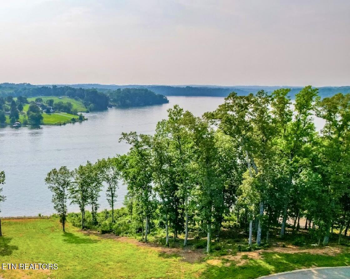 10723 Artemis Place Way, Knoxville, TN - Fort Loudoun and Tellico Lake Real Estate - Image# 3