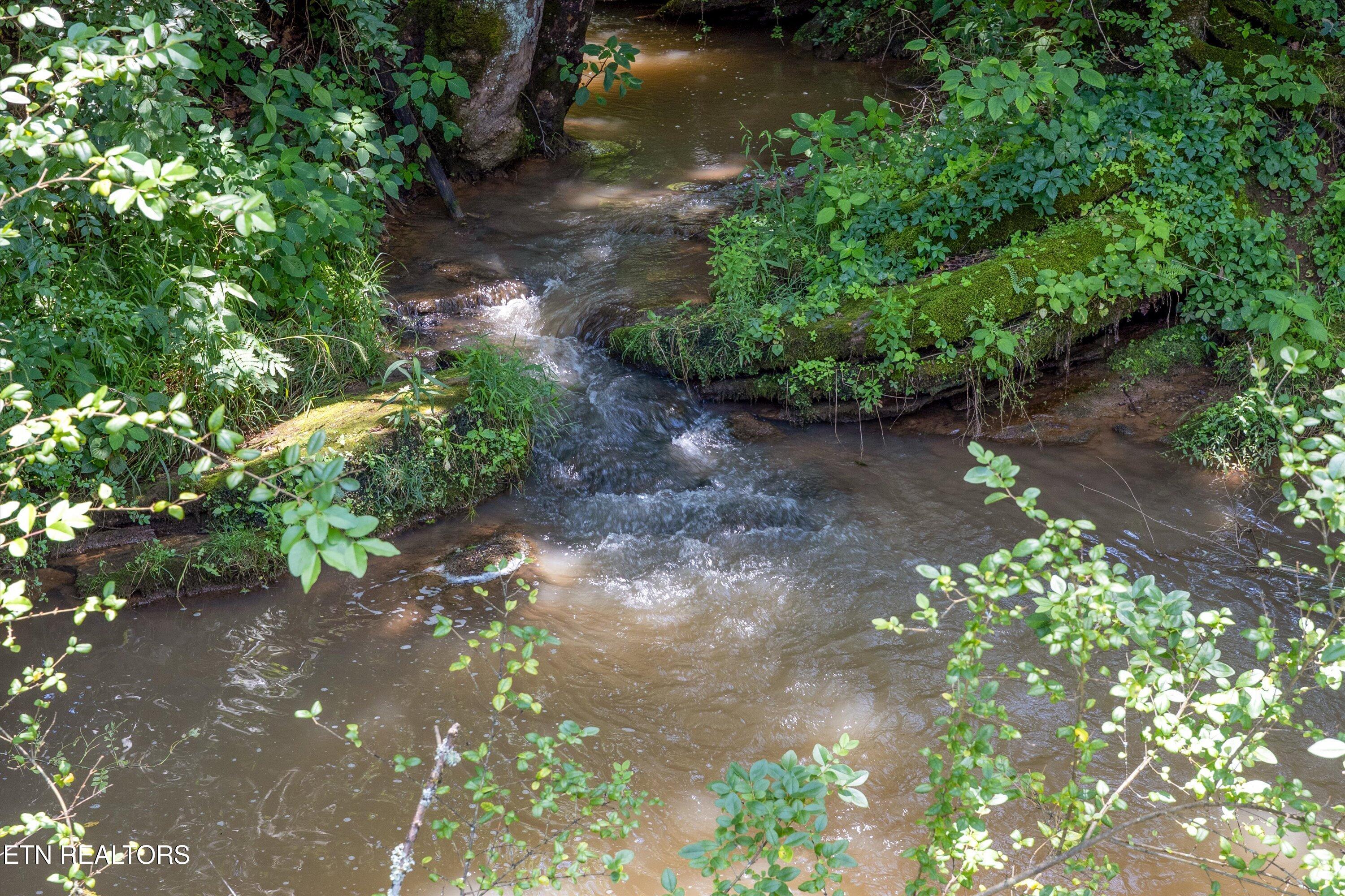 Quarry Rd, Friendsville, TN - Fort Loudoun and Tellico Lake Real Estate - Image# 10