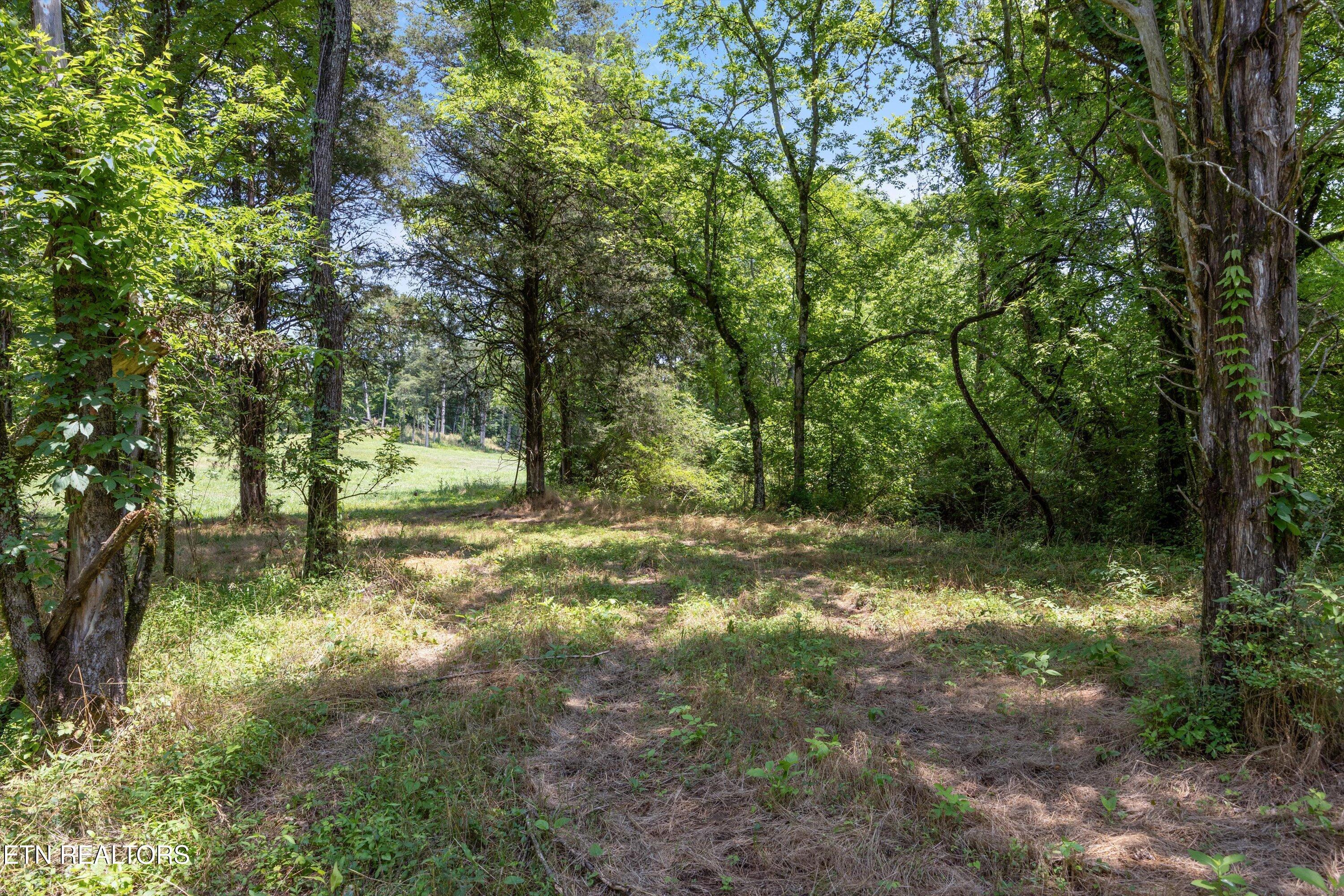 Quarry Rd, Friendsville, TN - Fort Loudoun and Tellico Lake Real Estate - Image# 14