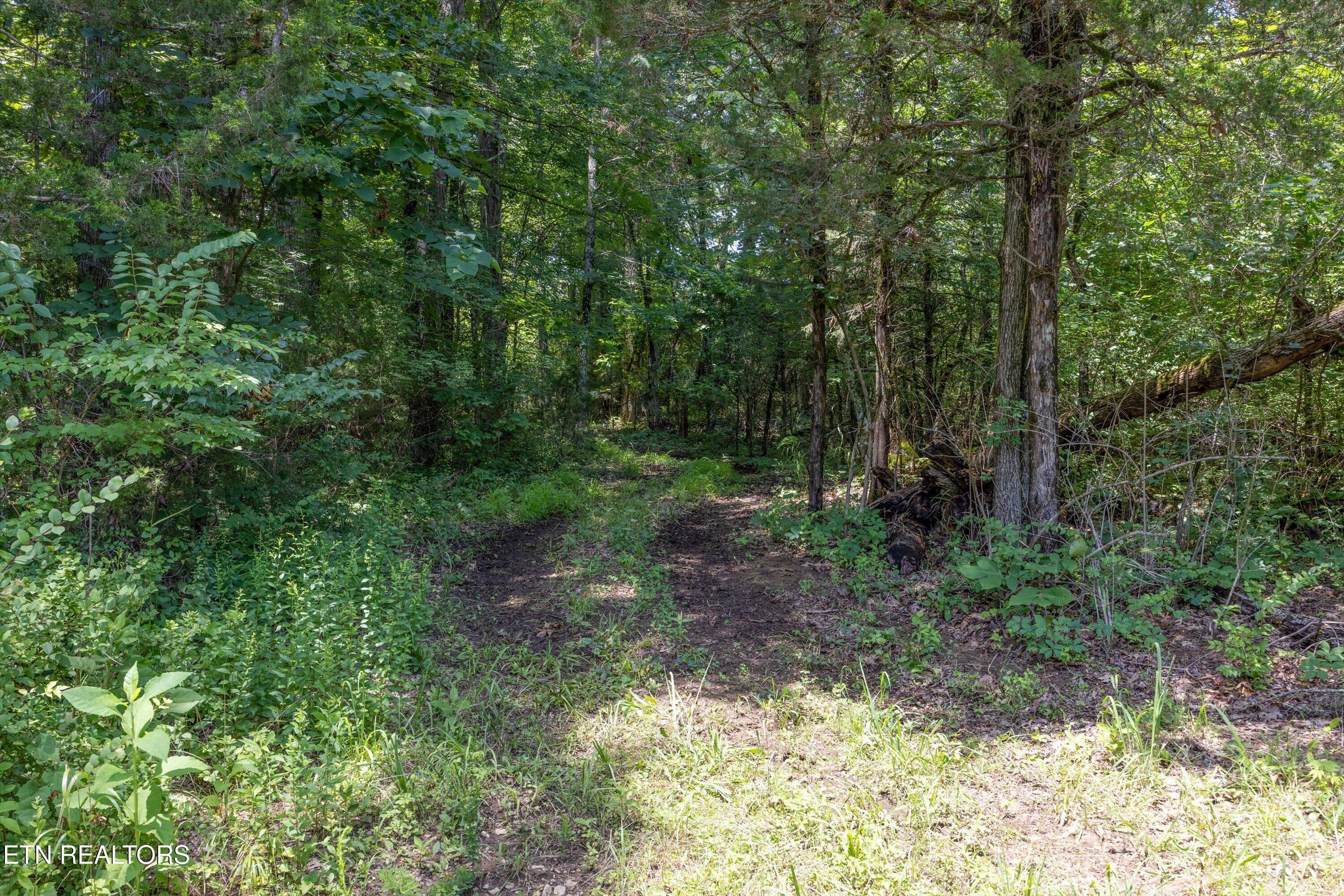 Quarry Rd, Friendsville, TN - Fort Loudoun and Tellico Lake Real Estate - Image# 17