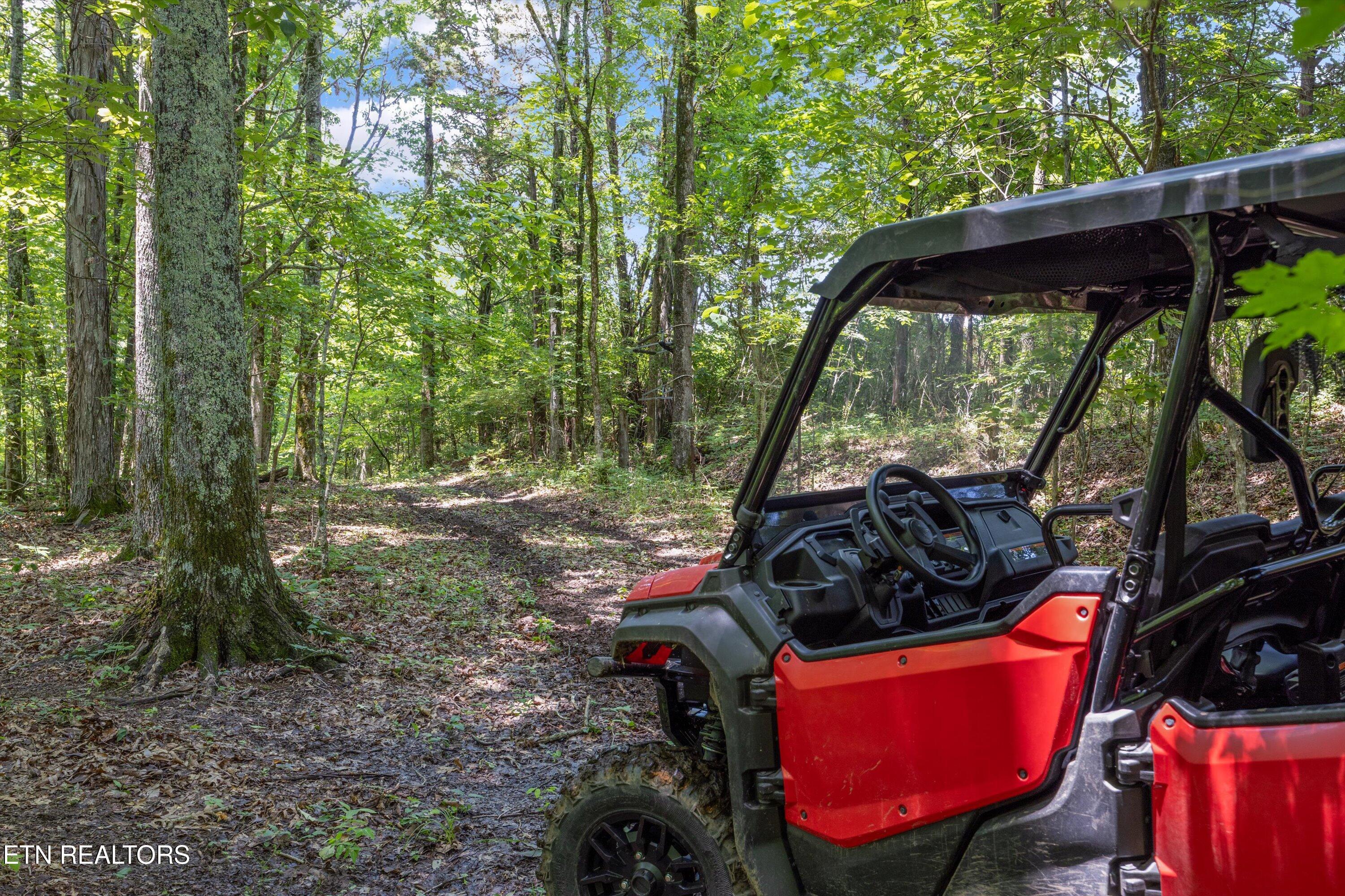Quarry Rd, Friendsville, TN - Fort Loudoun and Tellico Lake Real Estate - Image# 18