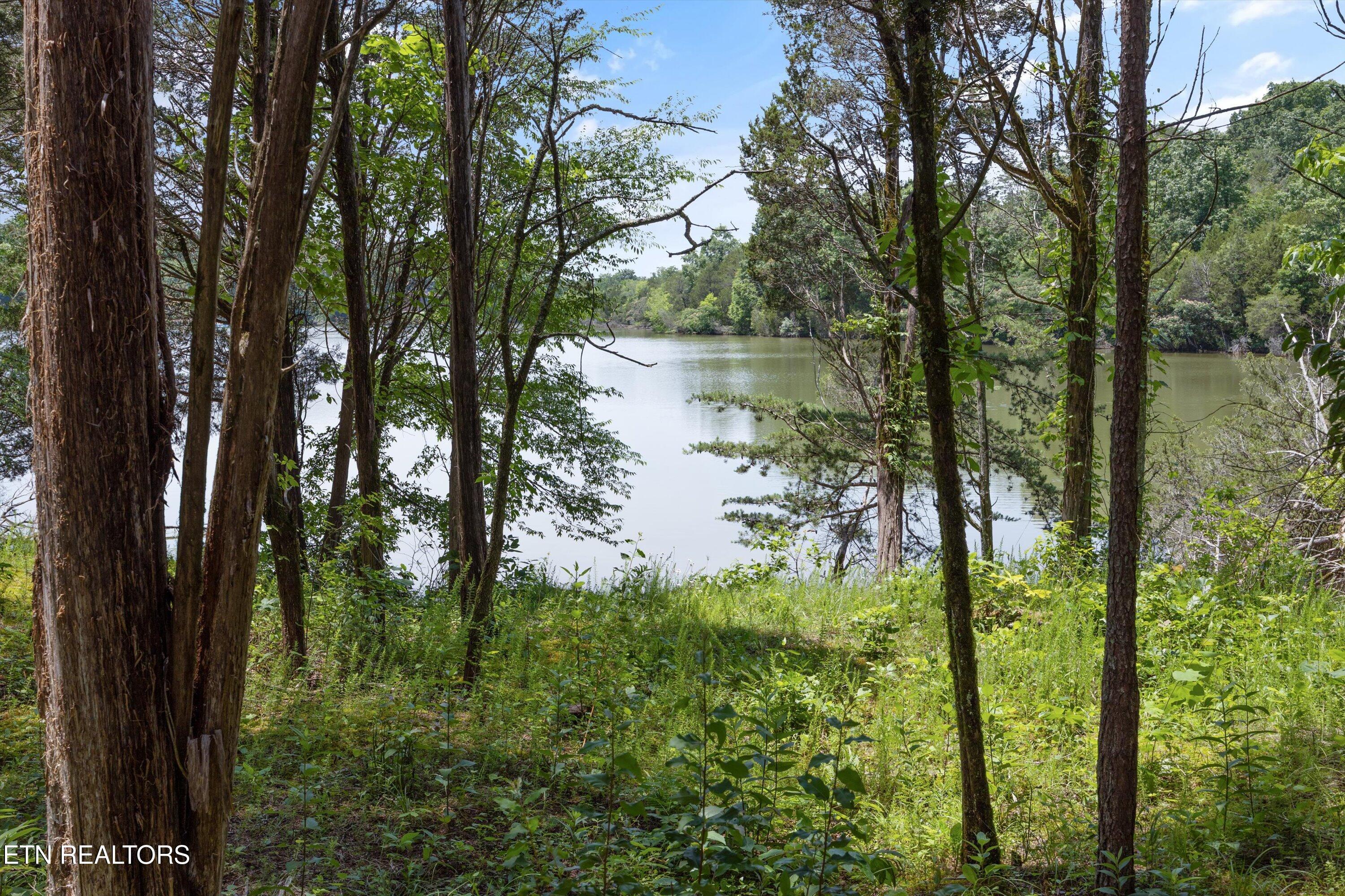 Quarry Rd, Friendsville, TN - Fort Loudoun and Tellico Lake Real Estate - Image# 20