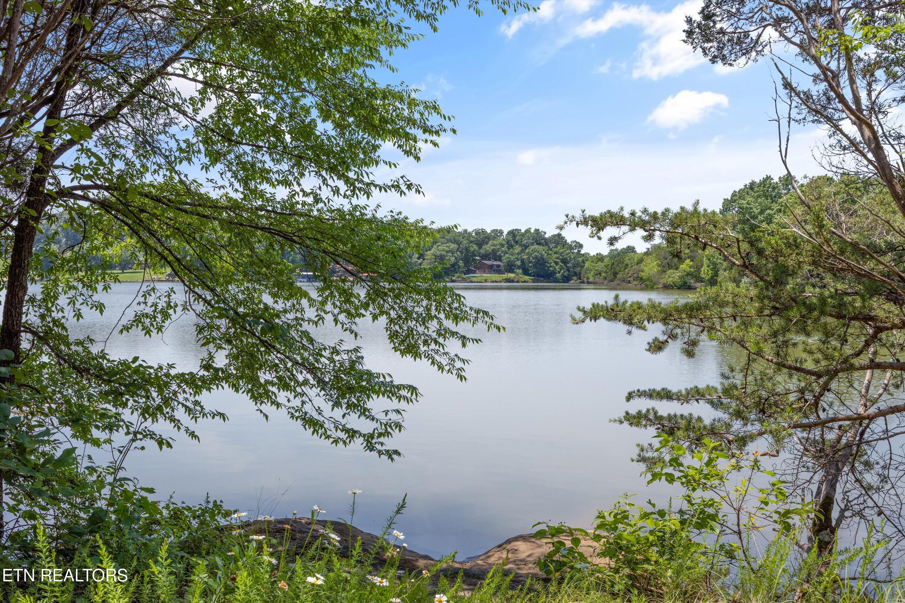 Quarry Rd, Friendsville, TN - Fort Loudoun and Tellico Lake Real Estate - Image# 21