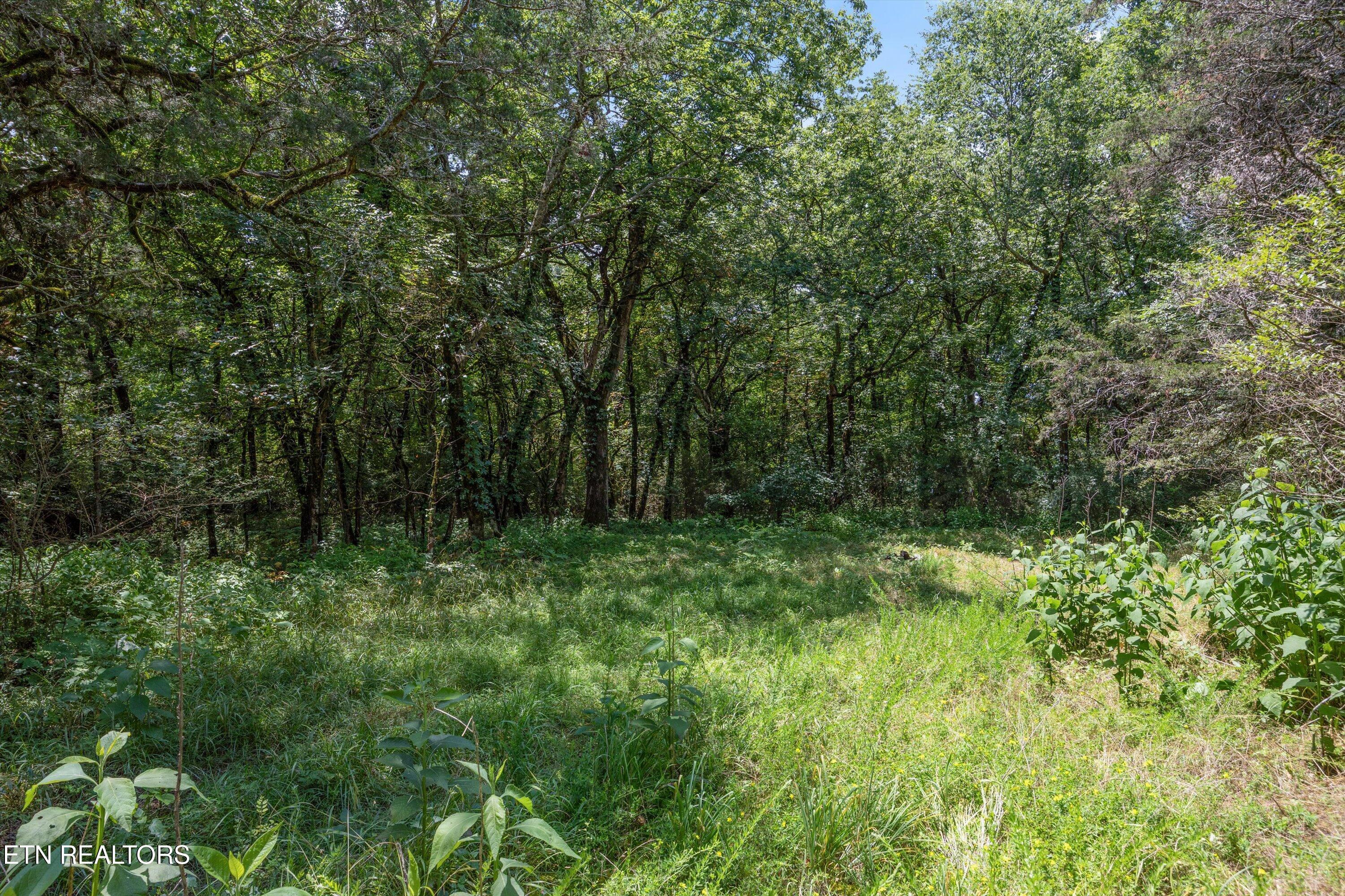 Quarry Rd, Friendsville, TN - Fort Loudoun and Tellico Lake Real Estate - Image# 16