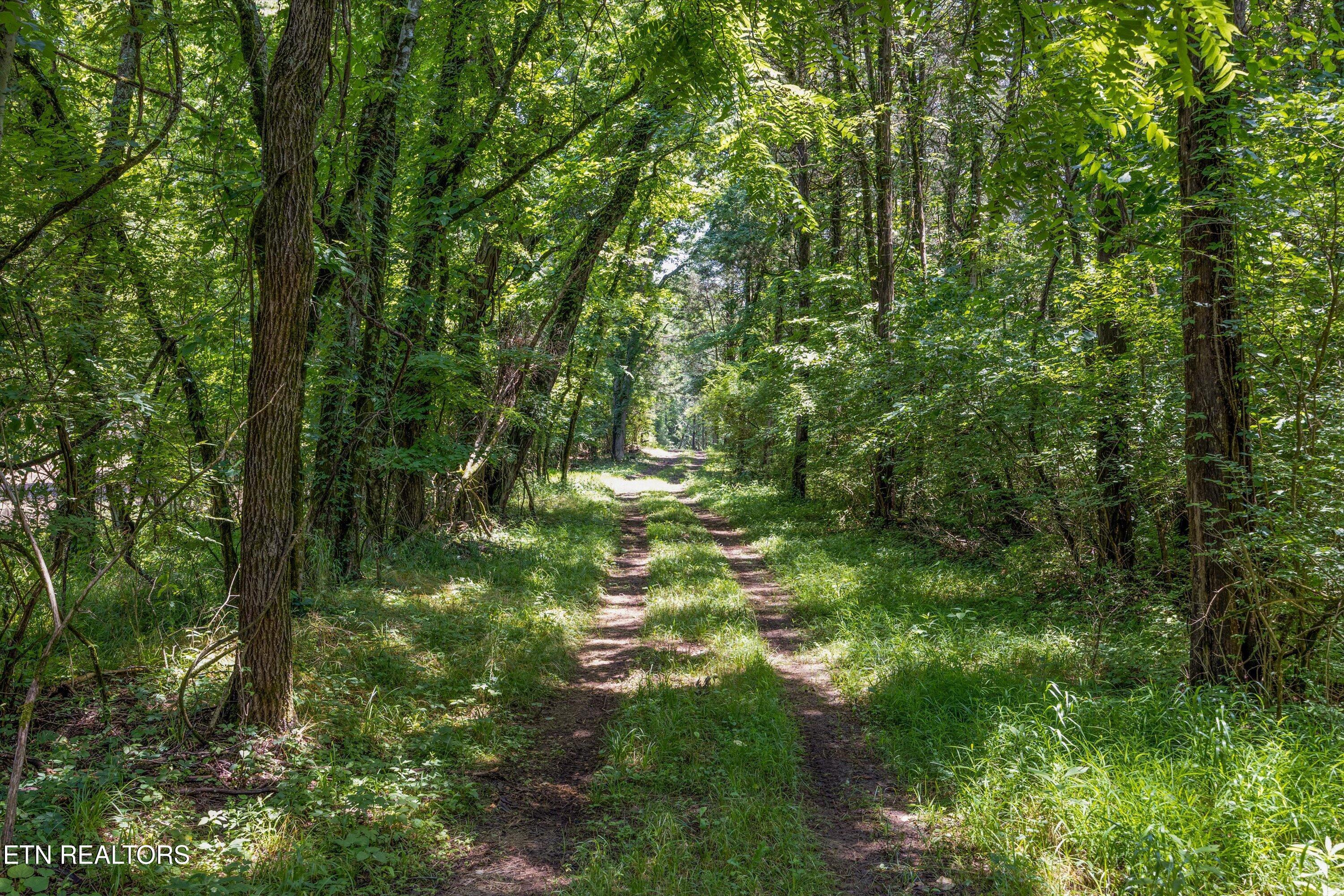 Quarry Rd, Friendsville, TN - Fort Loudoun and Tellico Lake Real Estate - Image# 13