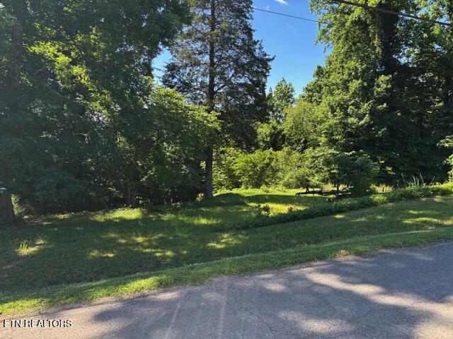 Topside Rd, Knoxville, TN - Fort Loudoun and Tellico Lake Real Estate - Image# 3