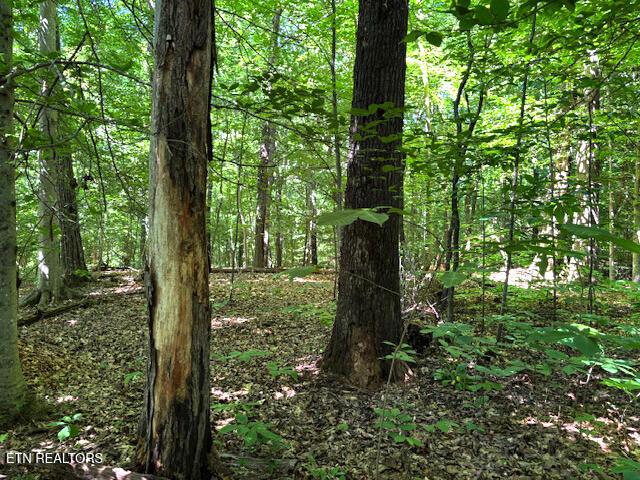 Topside Rd, Knoxville, TN - Fort Loudoun and Tellico Lake Real Estate - Image# 4