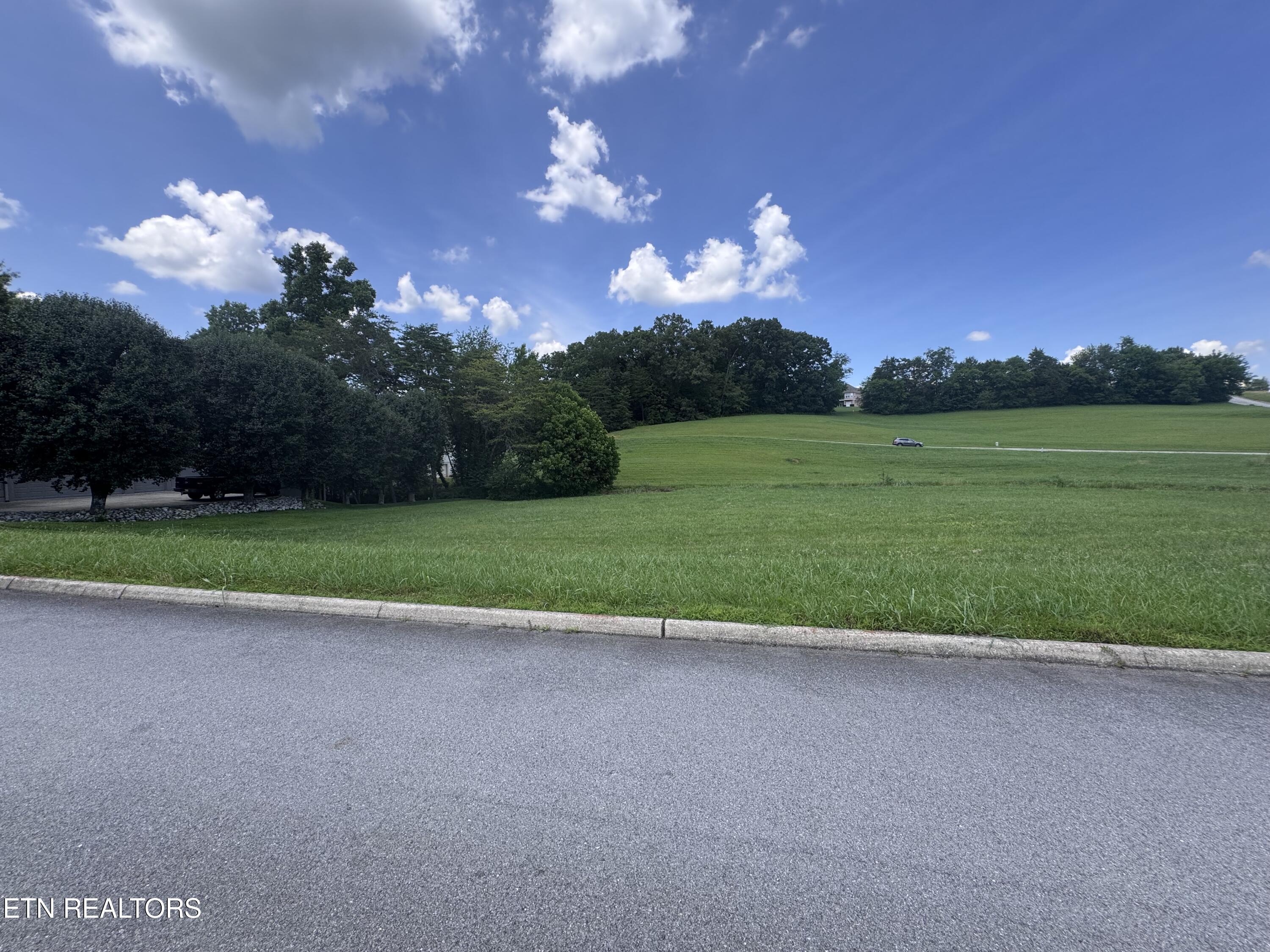 608 Wood Duck Drive, Vonore, TN - Fort Loudoun and Tellico Lake Real Estate - Image# 5
