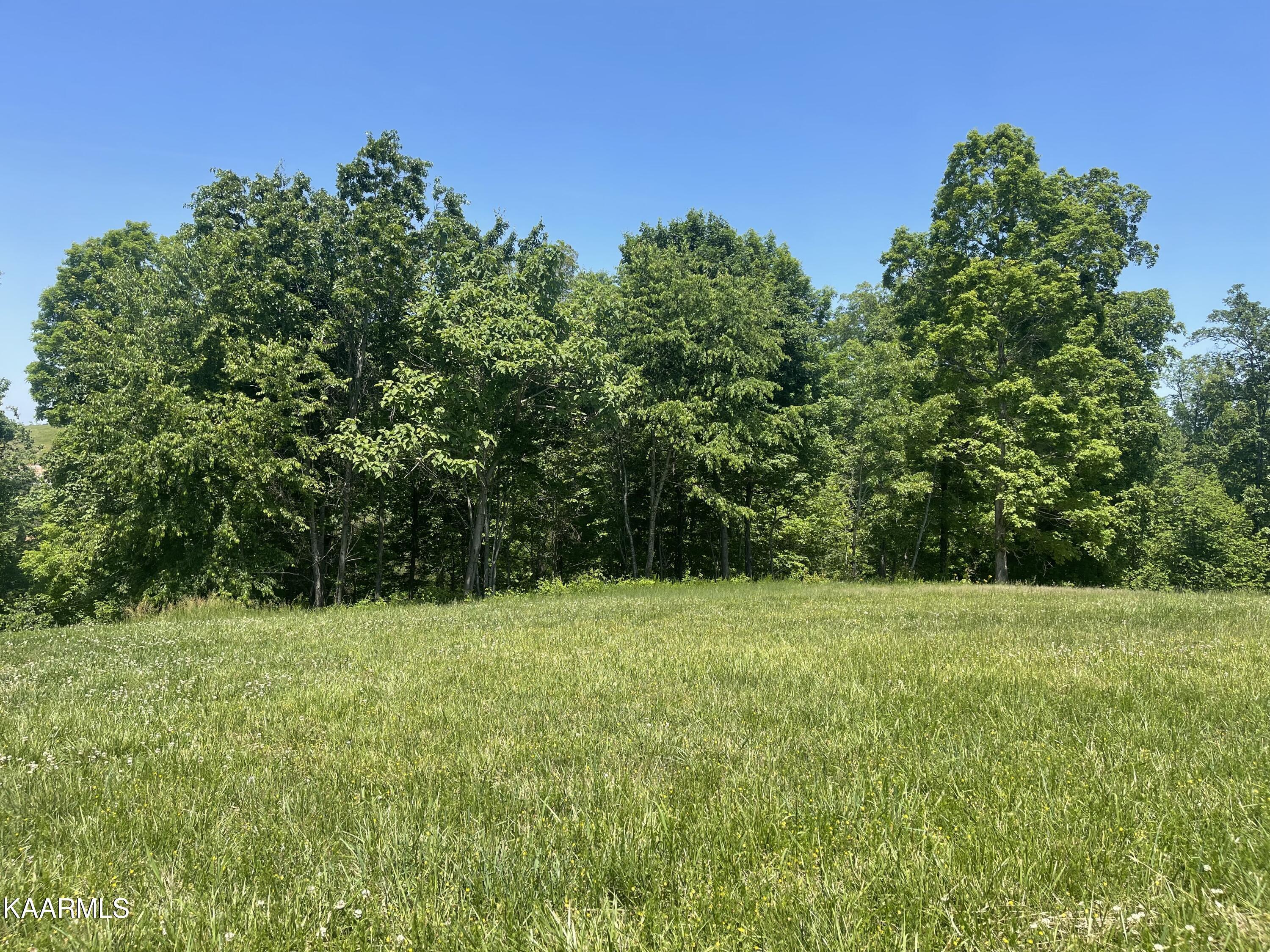 Fort Loudoun and Tellico Lake Real Estate - Image# 9