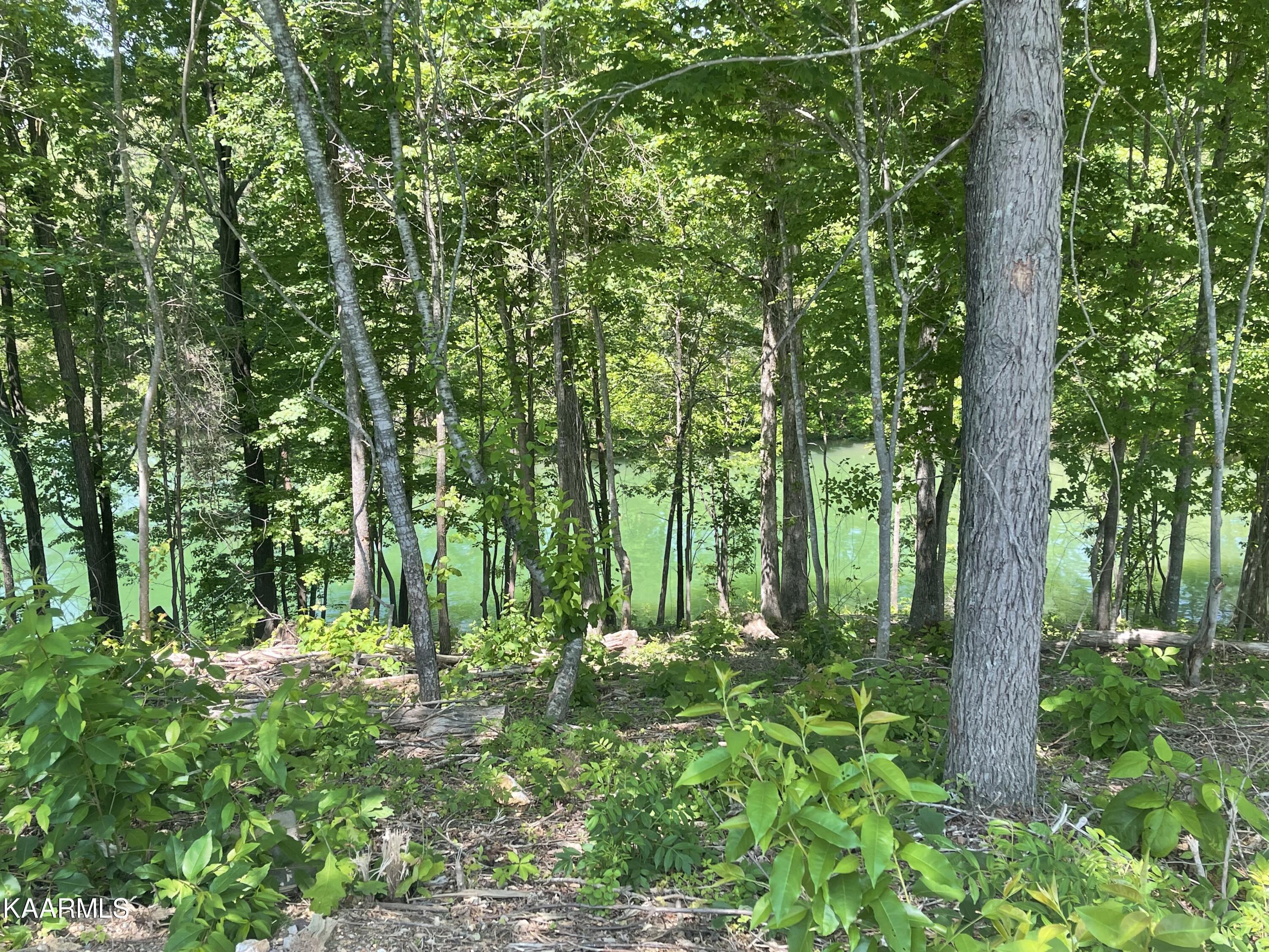 Fort Loudoun and Tellico Lake Real Estate - Image# 10