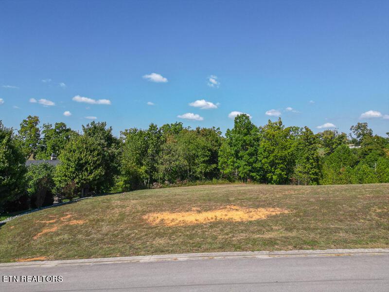 Fort Loudoun and Tellico Lake Real Estate - Image# 1