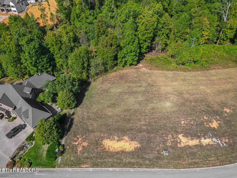 Fort Loudoun and Tellico Lake Real Estate - Image# 4