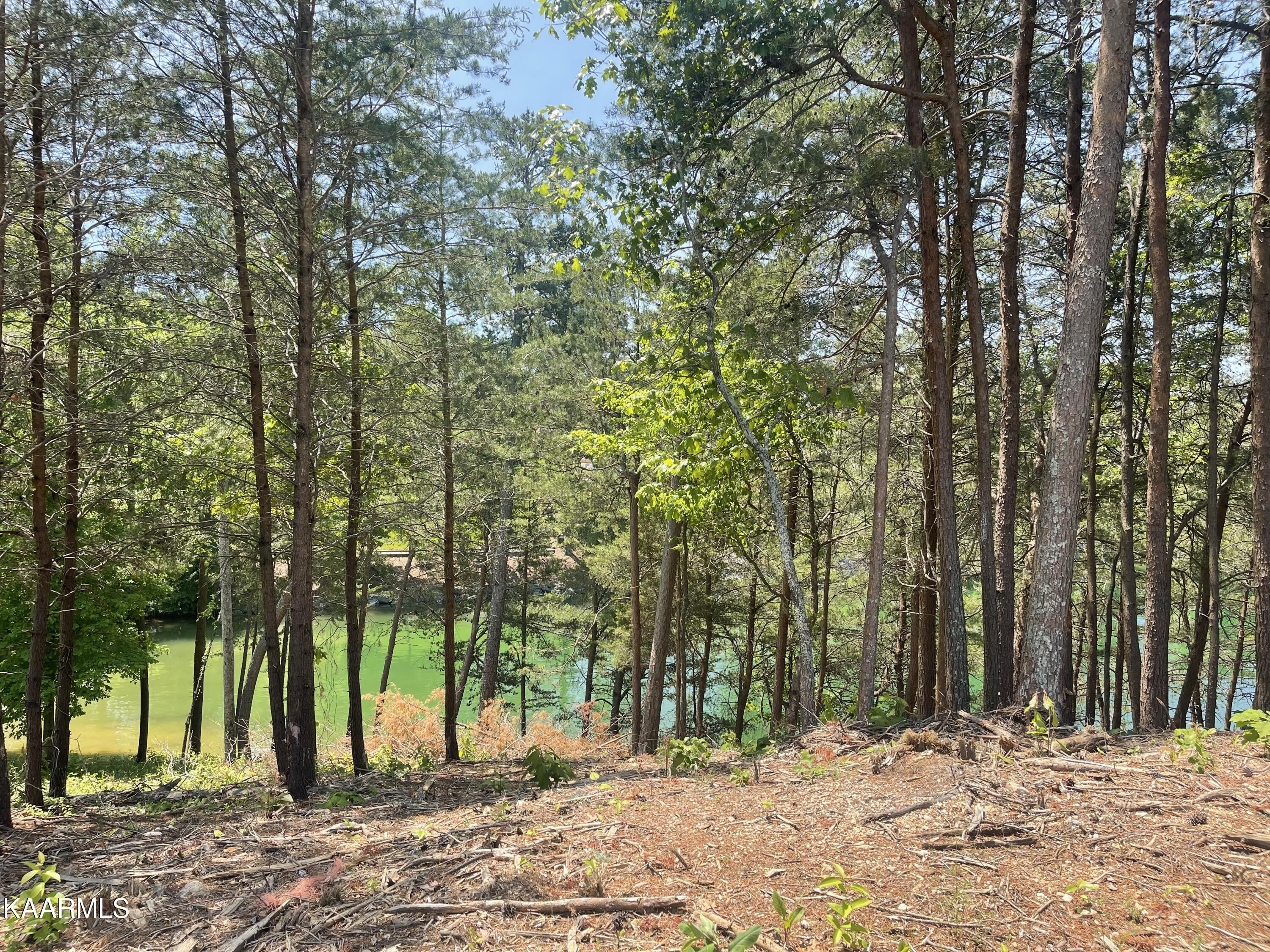 Fort Loudoun and Tellico Lake Real Estate - Image# 10
