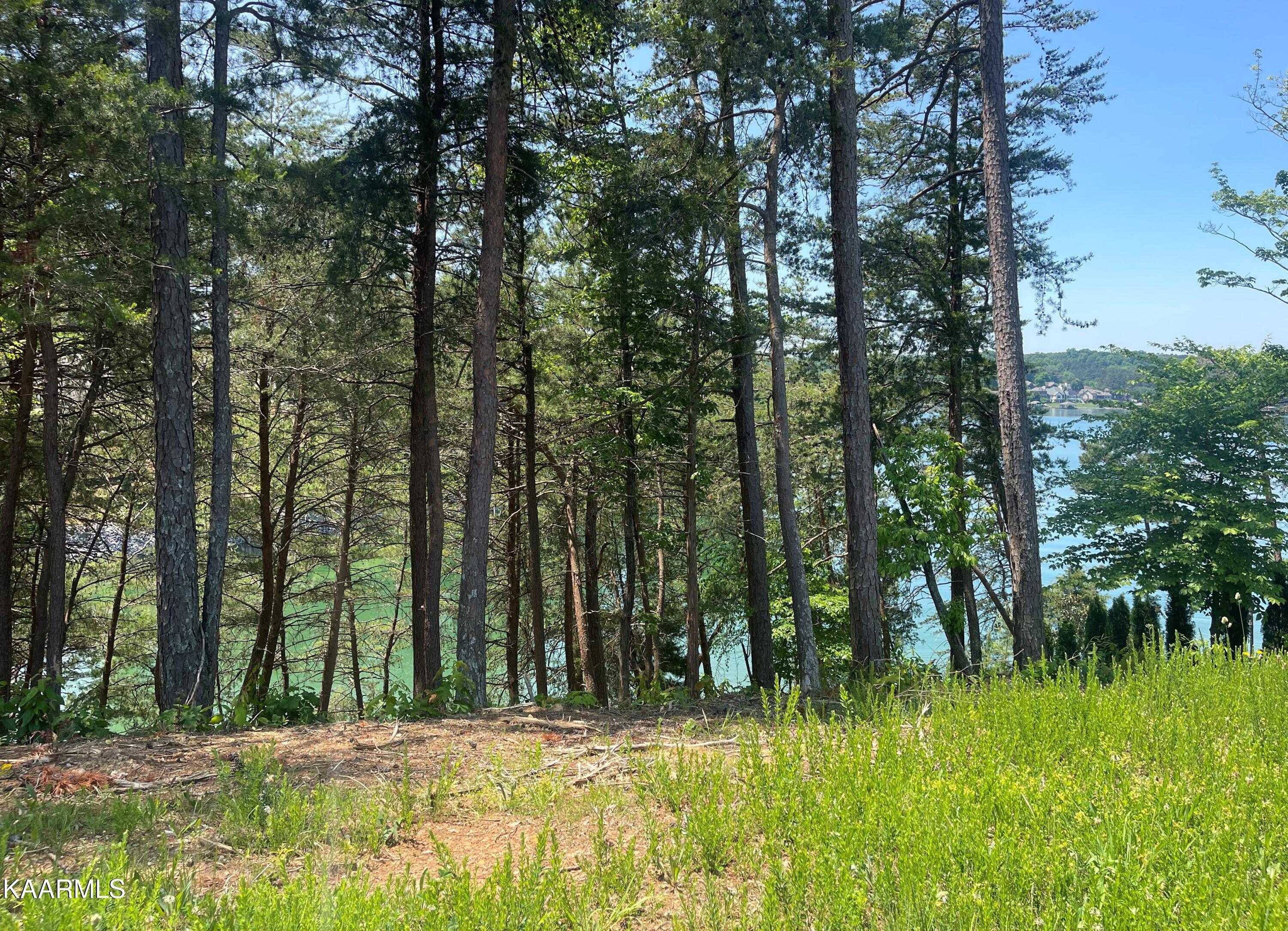 Fort Loudoun and Tellico Lake Real Estate - Image# 9