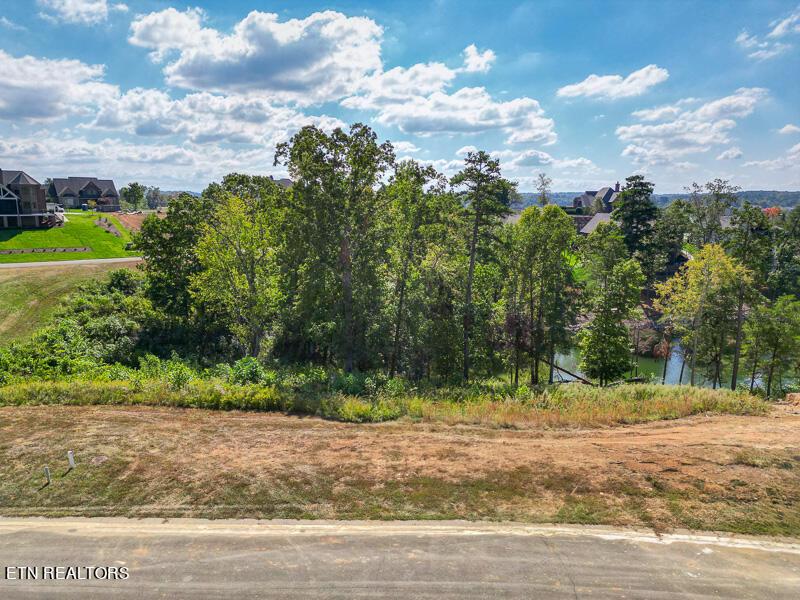 Fort Loudoun and Tellico Lake Real Estate - Image# 2