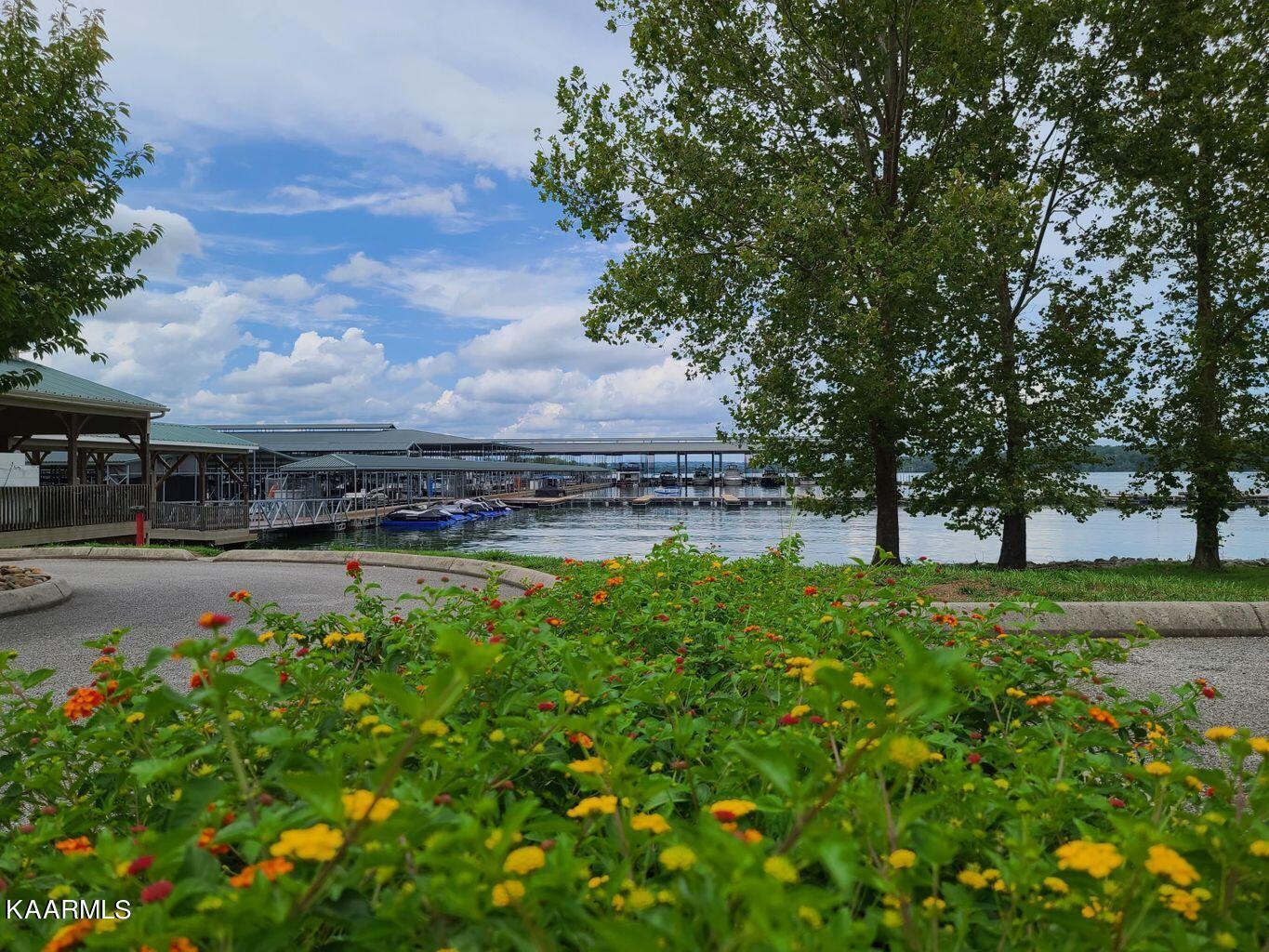 Fort Loudoun and Tellico Lake Real Estate - Image# 12
