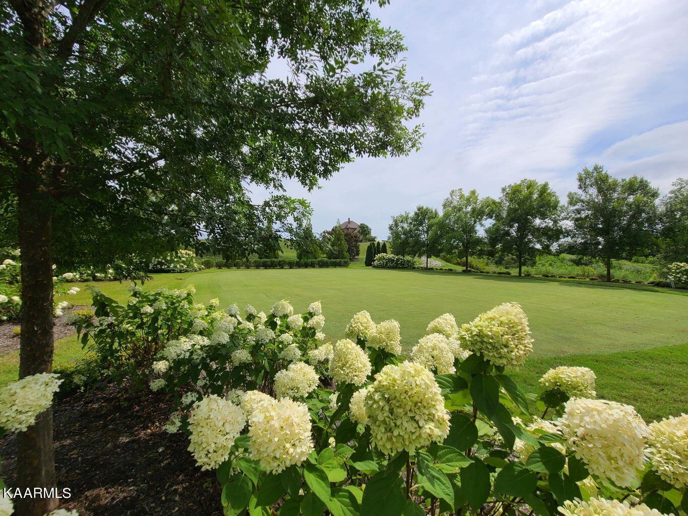 Fort Loudoun and Tellico Lake Real Estate - Image# 15