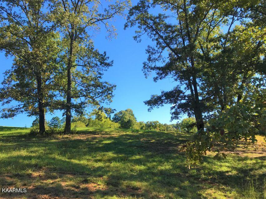 Fort Loudoun and Tellico Lake Real Estate - Image# 9