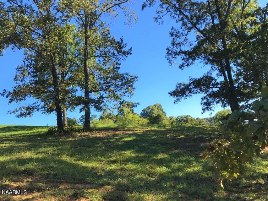 Fort Loudoun and Tellico Lake Real Estate - Image# 10
